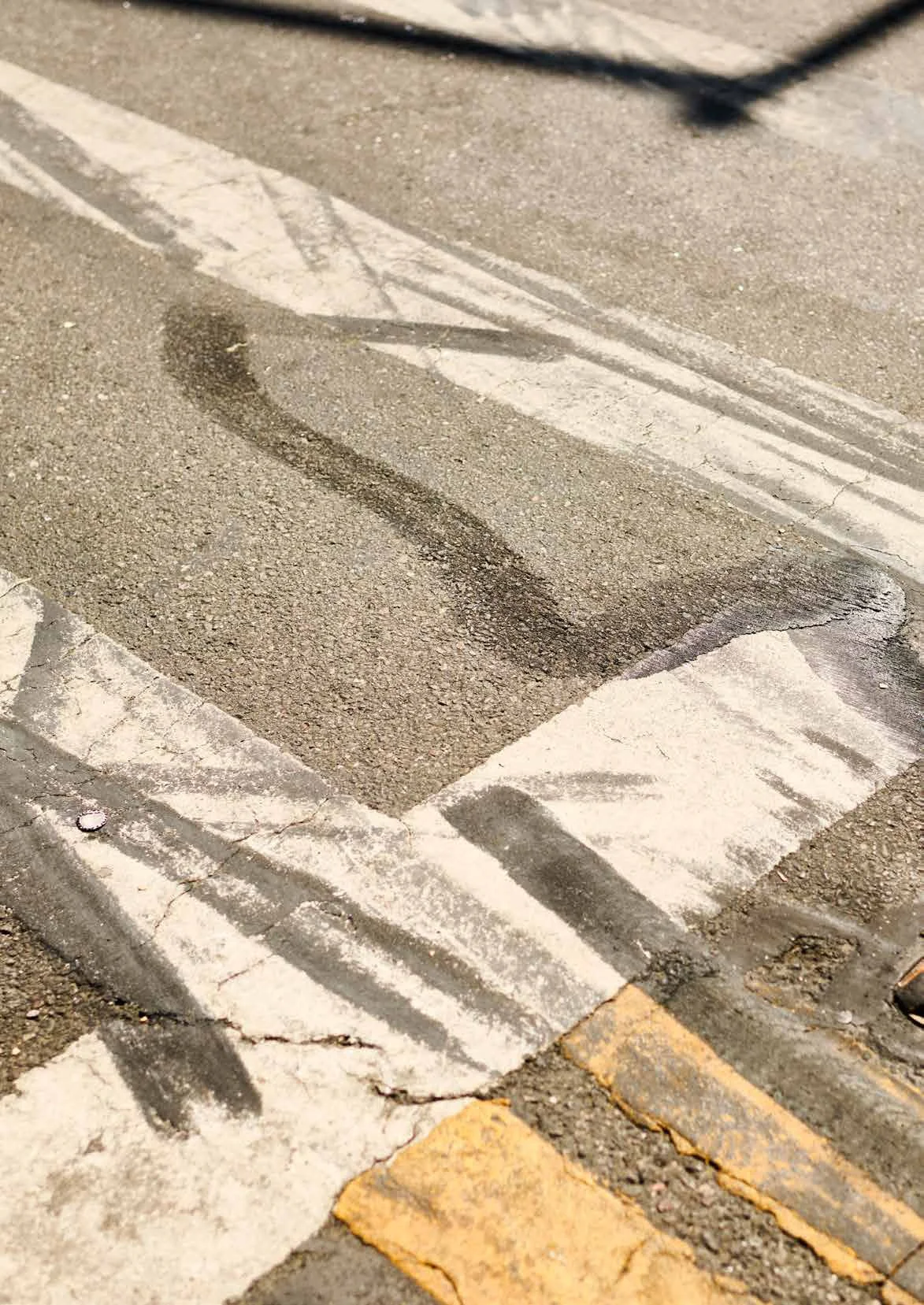 DRAGONS_sample-10 copy.jpg