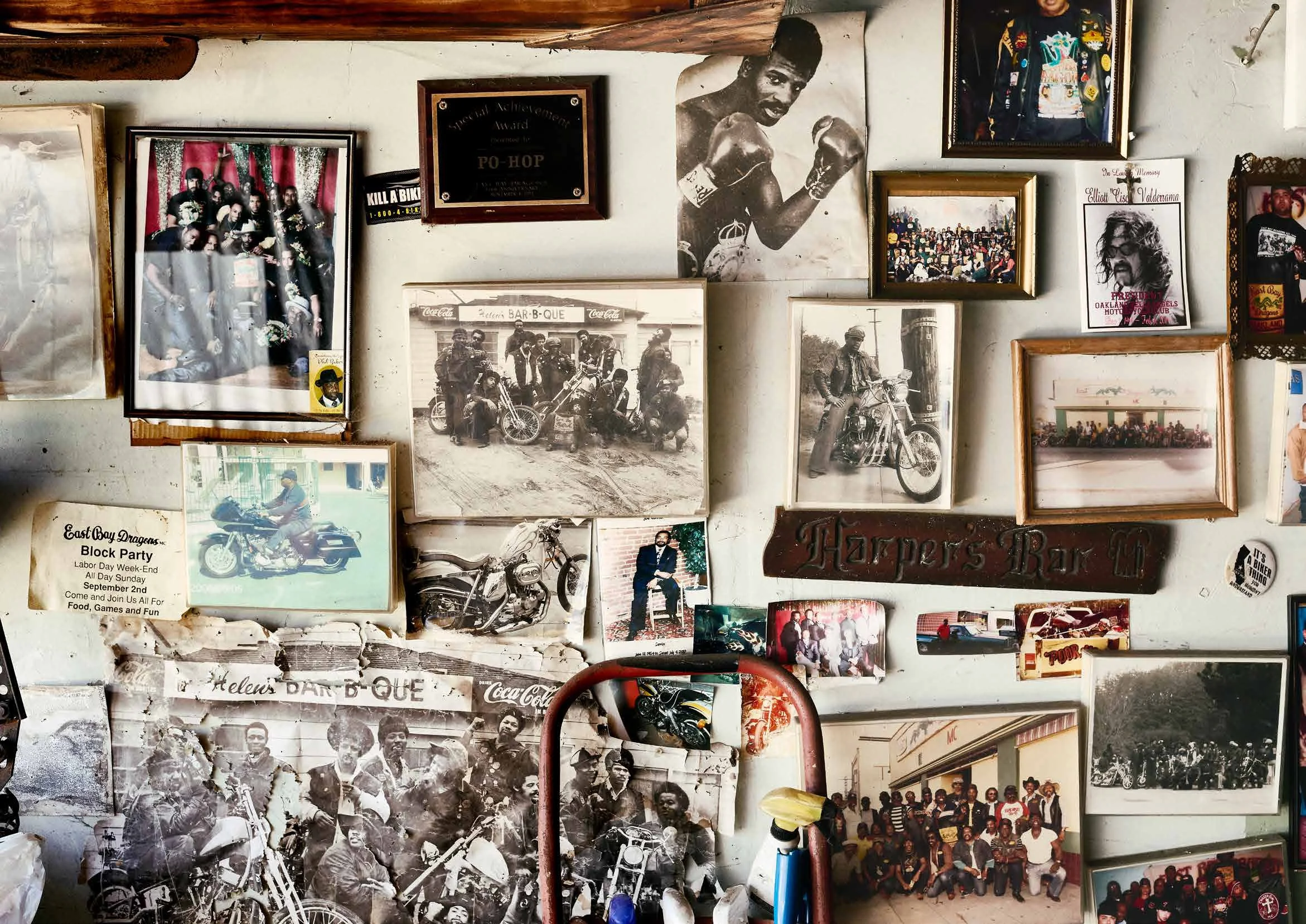 DRAGONS_sample-4 copy.jpg