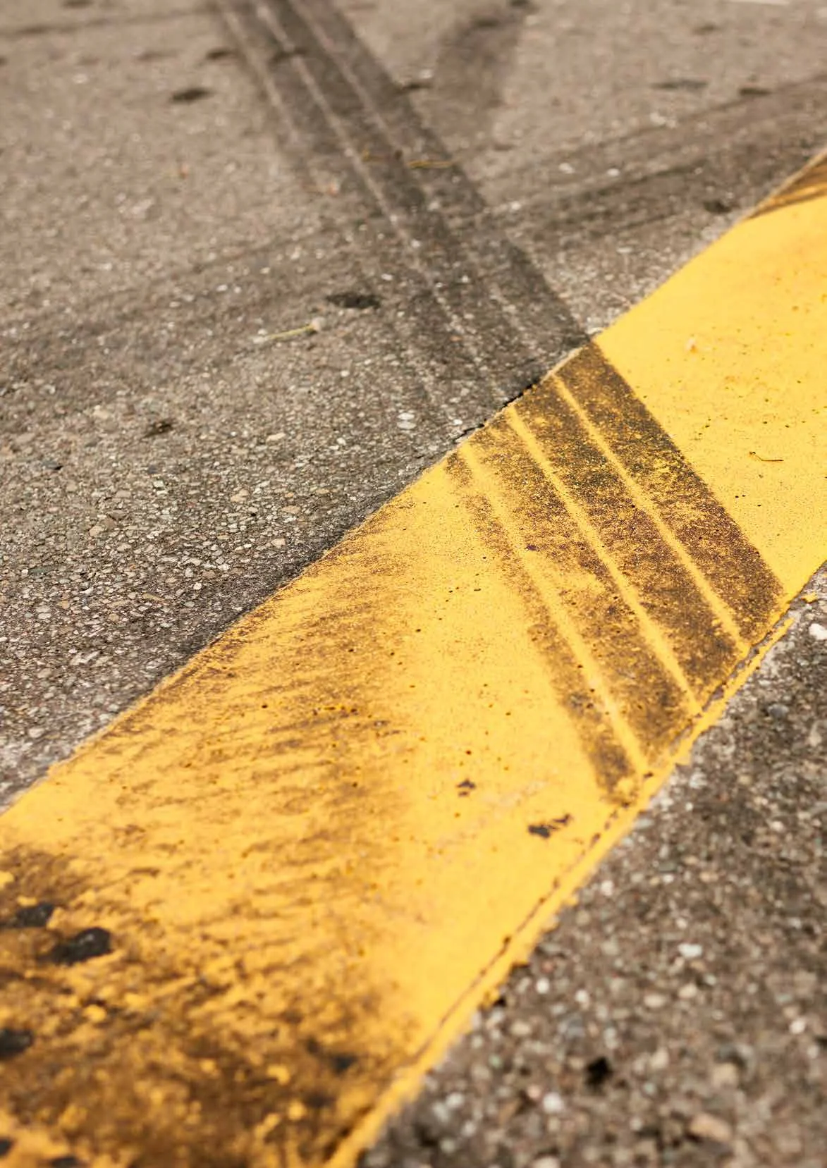 DRAGONS_sample-29 copy.jpg