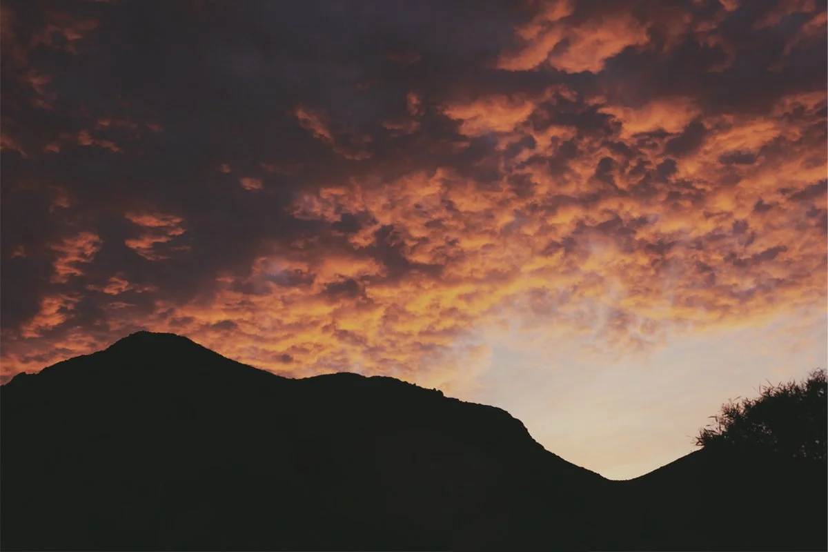 Nik 6 Analog Efex1 copy.jpg