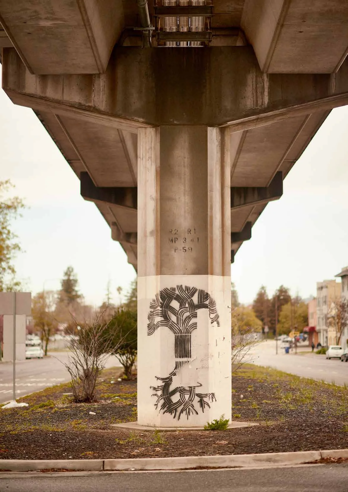 DRAGONS_sample-16 copy.jpg