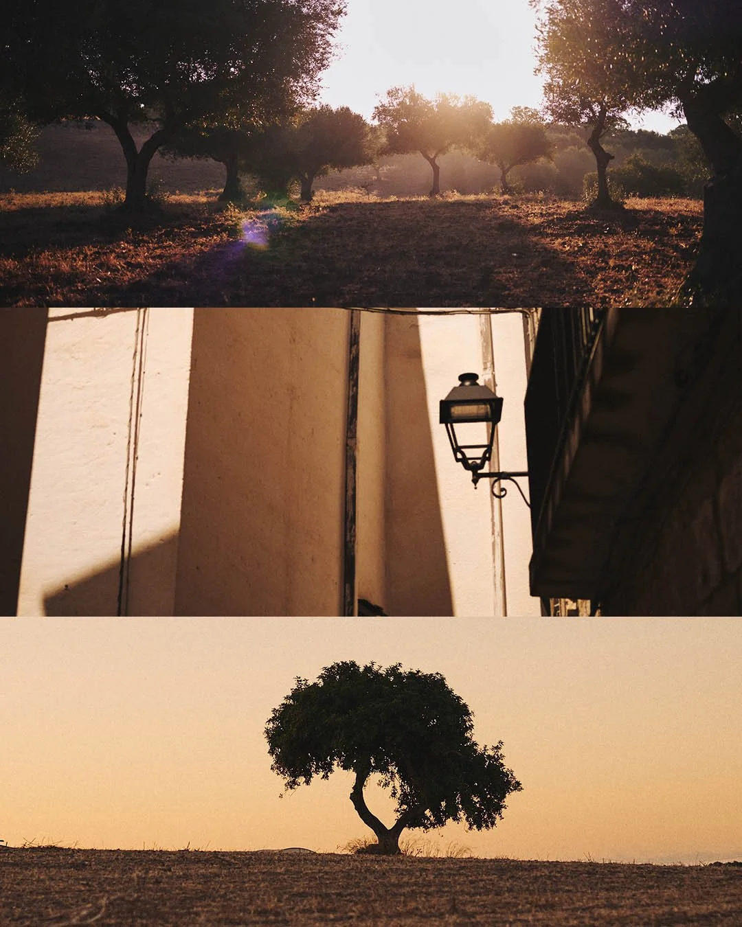 SOUTHERN ITALY - Self-assigned.