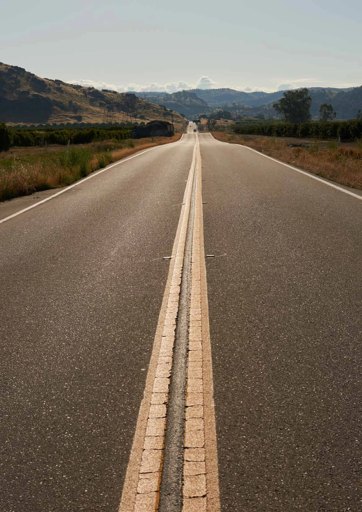 DRAGONS_sample-25 copy.jpg