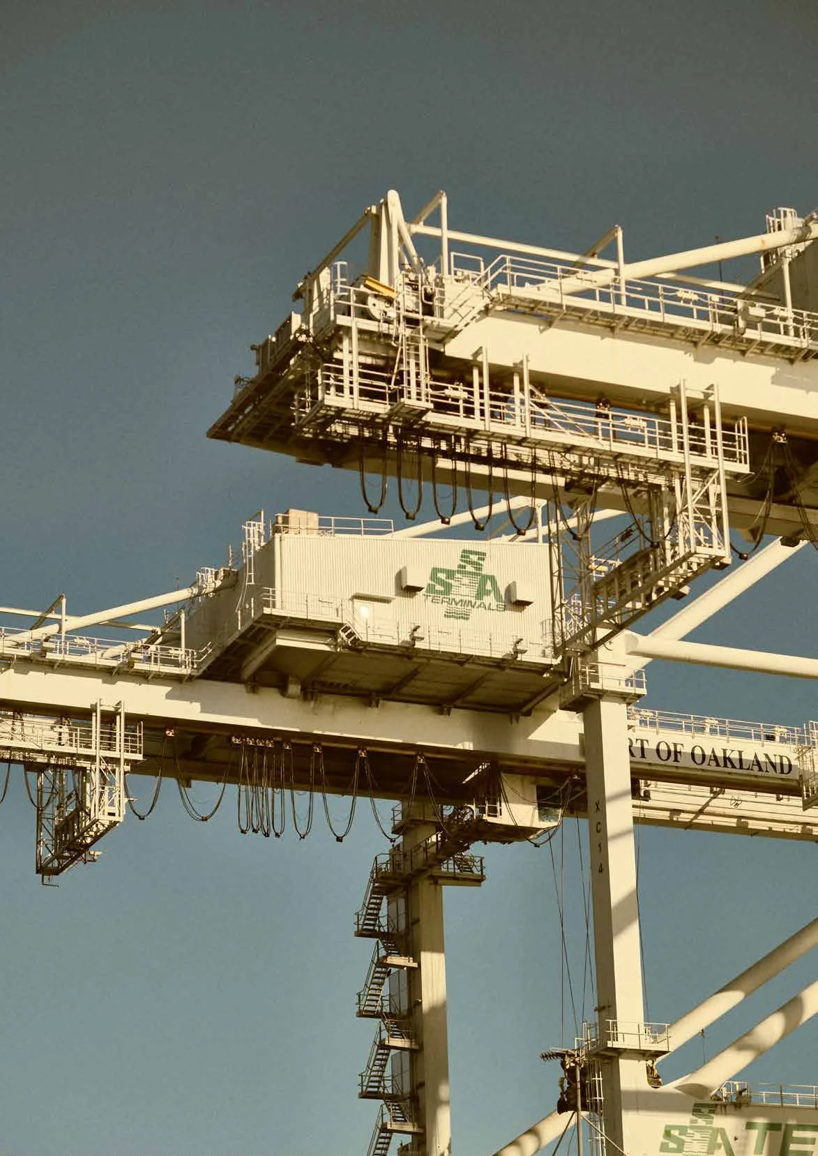 DRAGONS_sample-12 copy.jpg