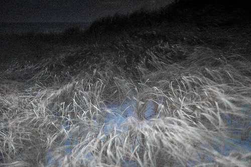 Barbara_Sitar_Photography_11.jpeg