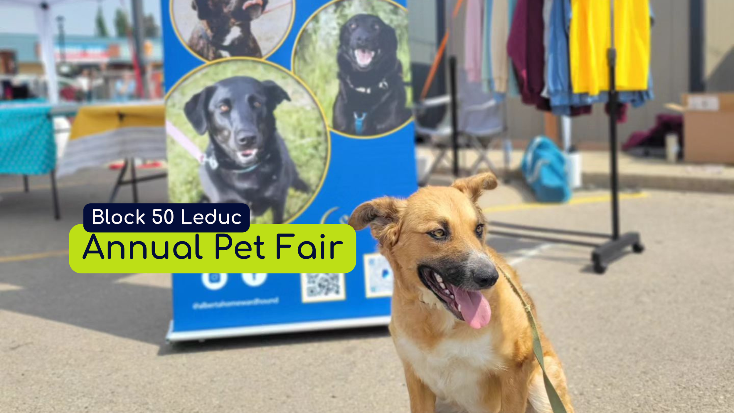 Block 50 Pet Fair