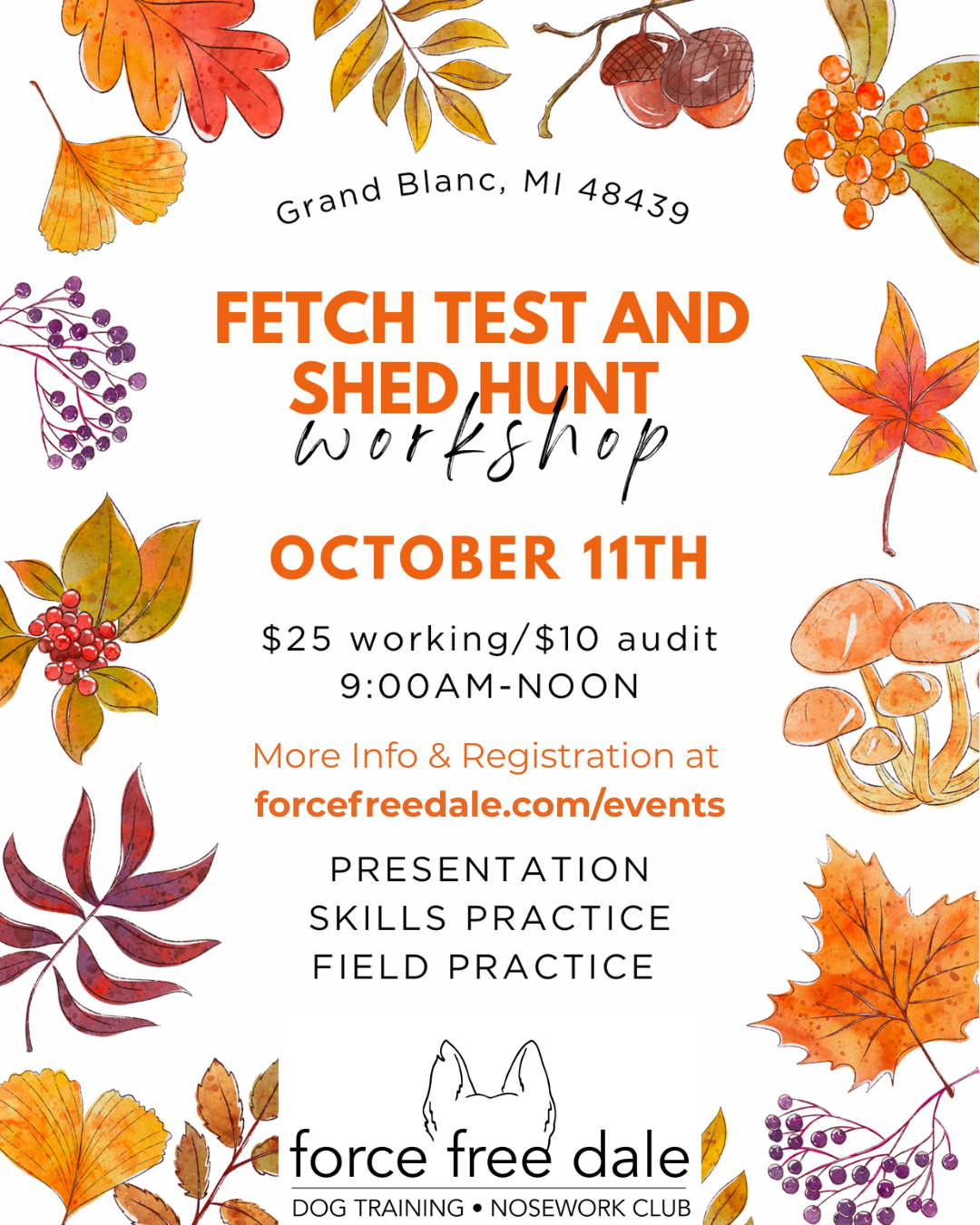Fetch & Shed Hunt Workshop