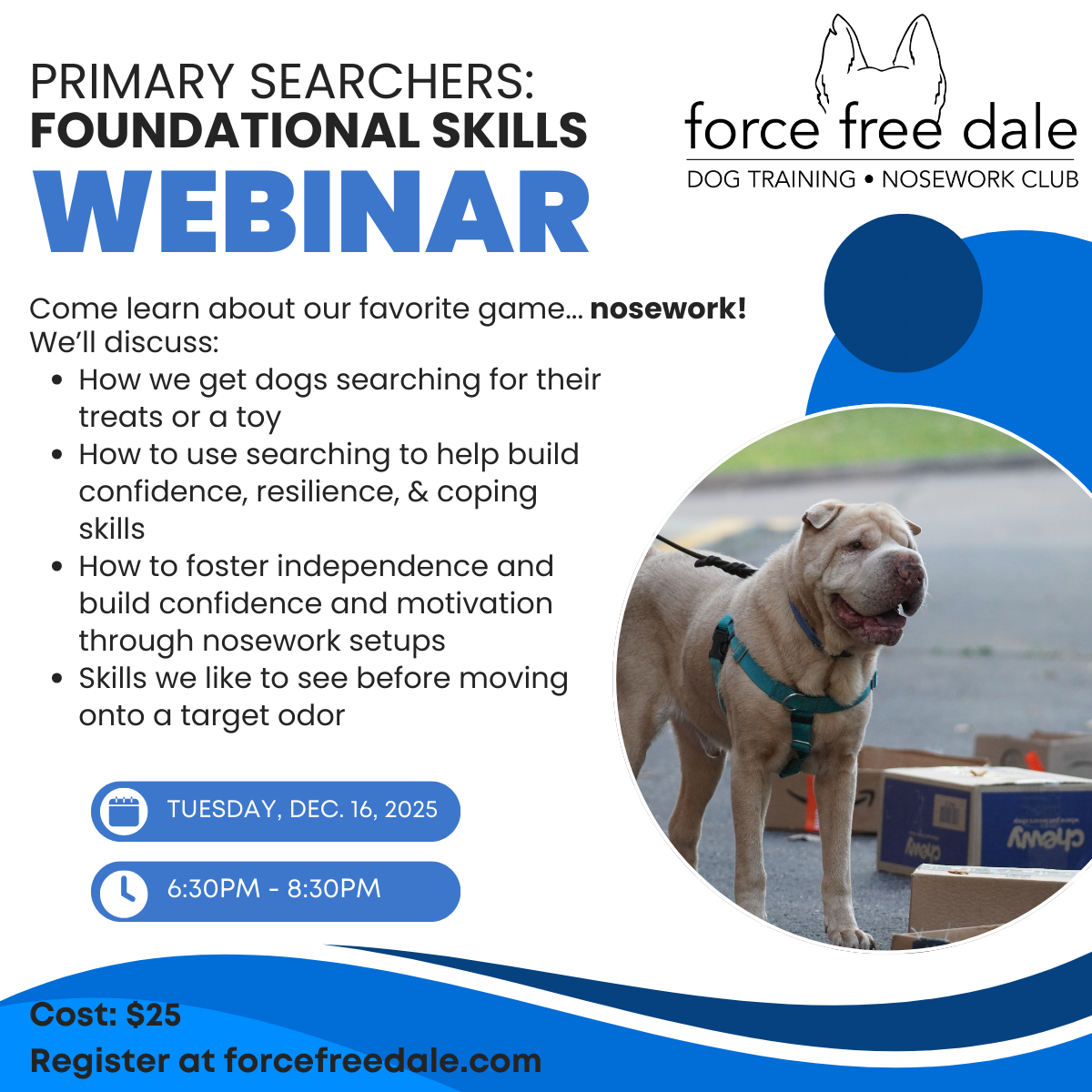 Primary Searchers: Foundational Skills Webinar