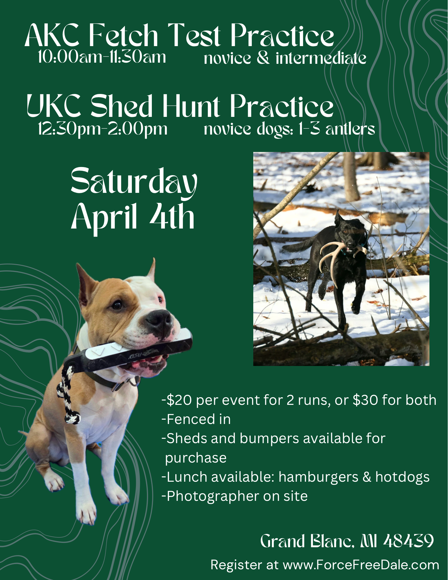 Fetch & Shed Hunt Practice