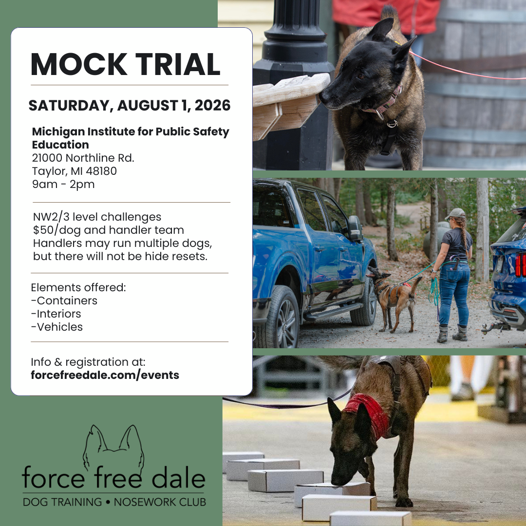Mock Trial - NW2/3