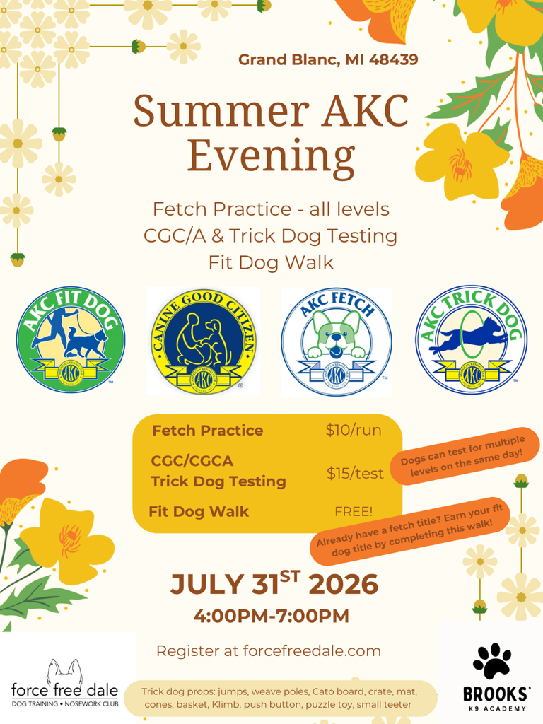 Fetch Practice & CGC/Trick Dog Test