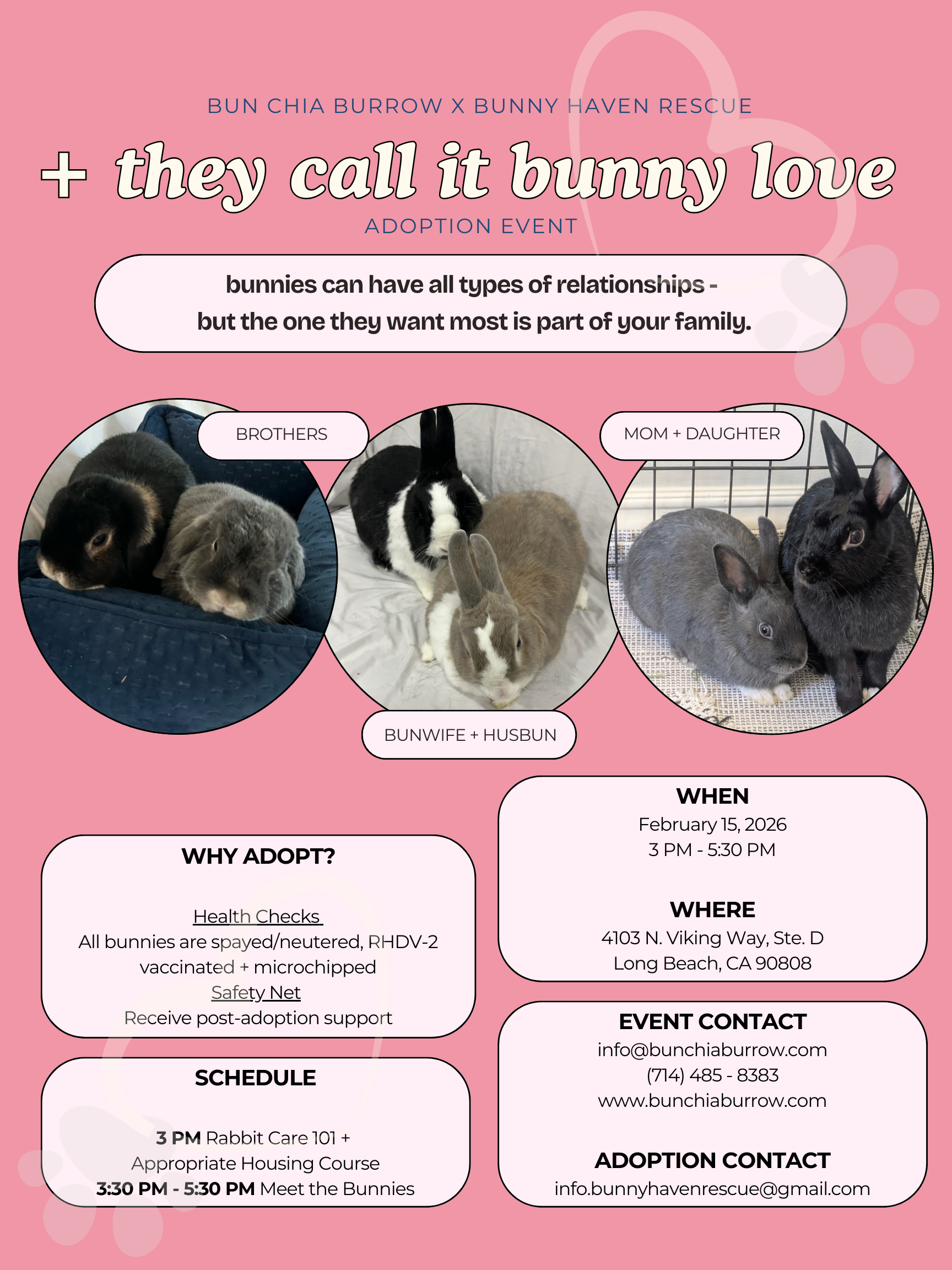 + They Call It Bunny Love - February 2026 On-Site Adoption Event