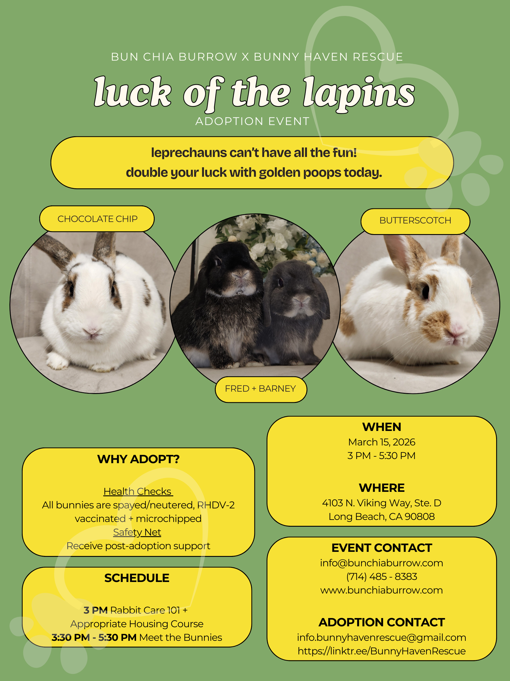 Luck of the Lapins: March 2026 On-Site Adoption Event