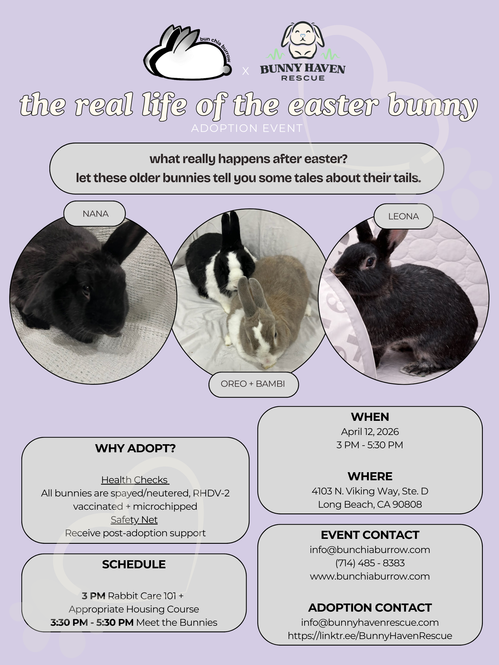 The Real Life of the Easter Bunny: April 2026 On-Site Showcase Event 
