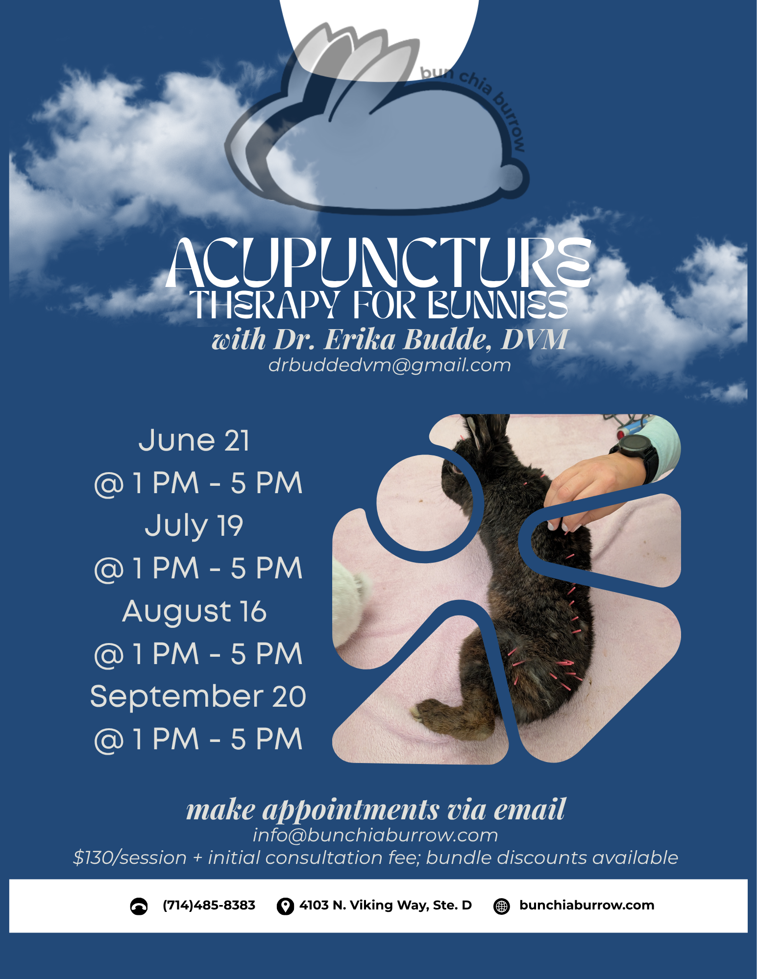 Acupuncture Therapy for Bunnies with Dr. Erika Budde, DVM 
