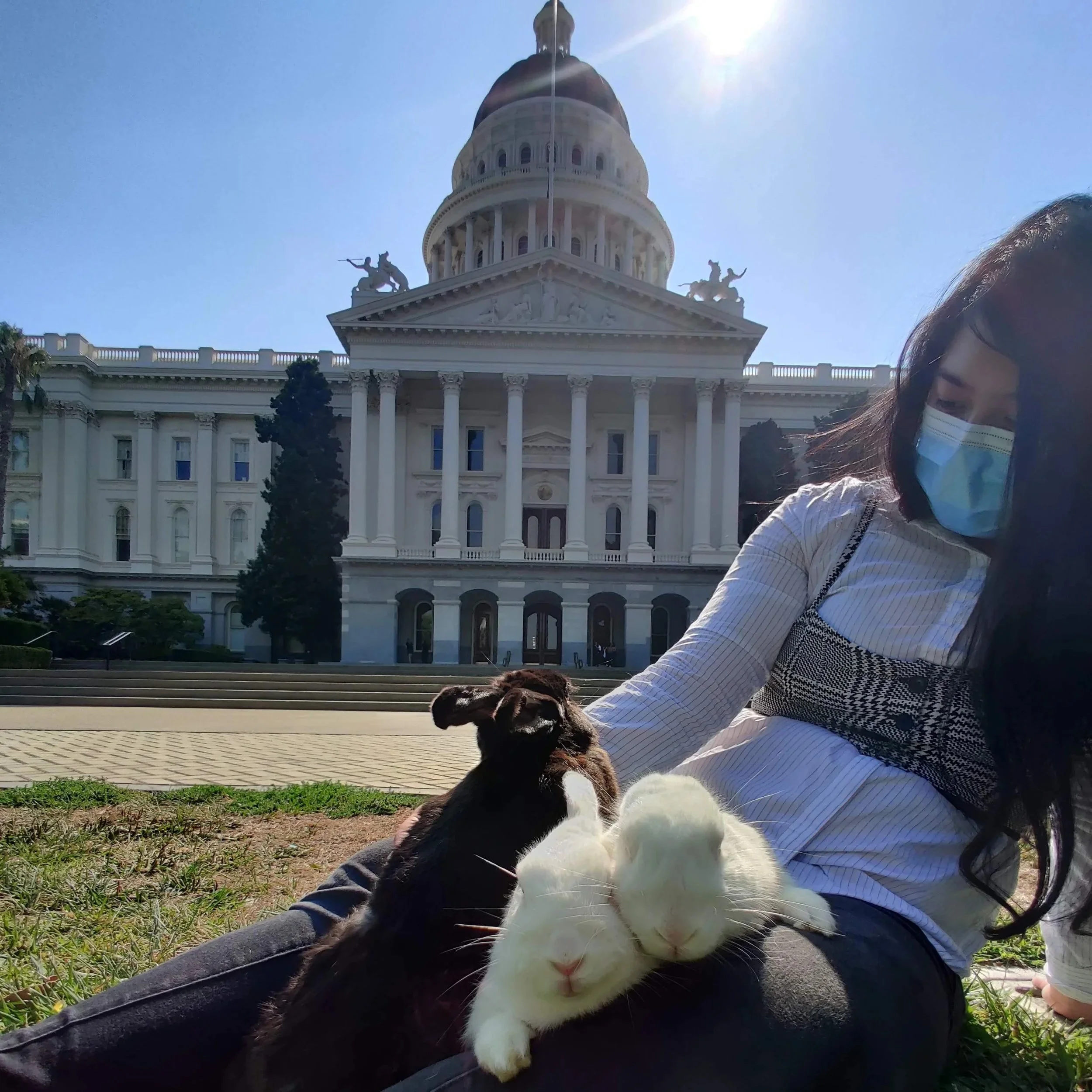 ab 1382 failed: senator cervantes killed california's genetically modified pet ban