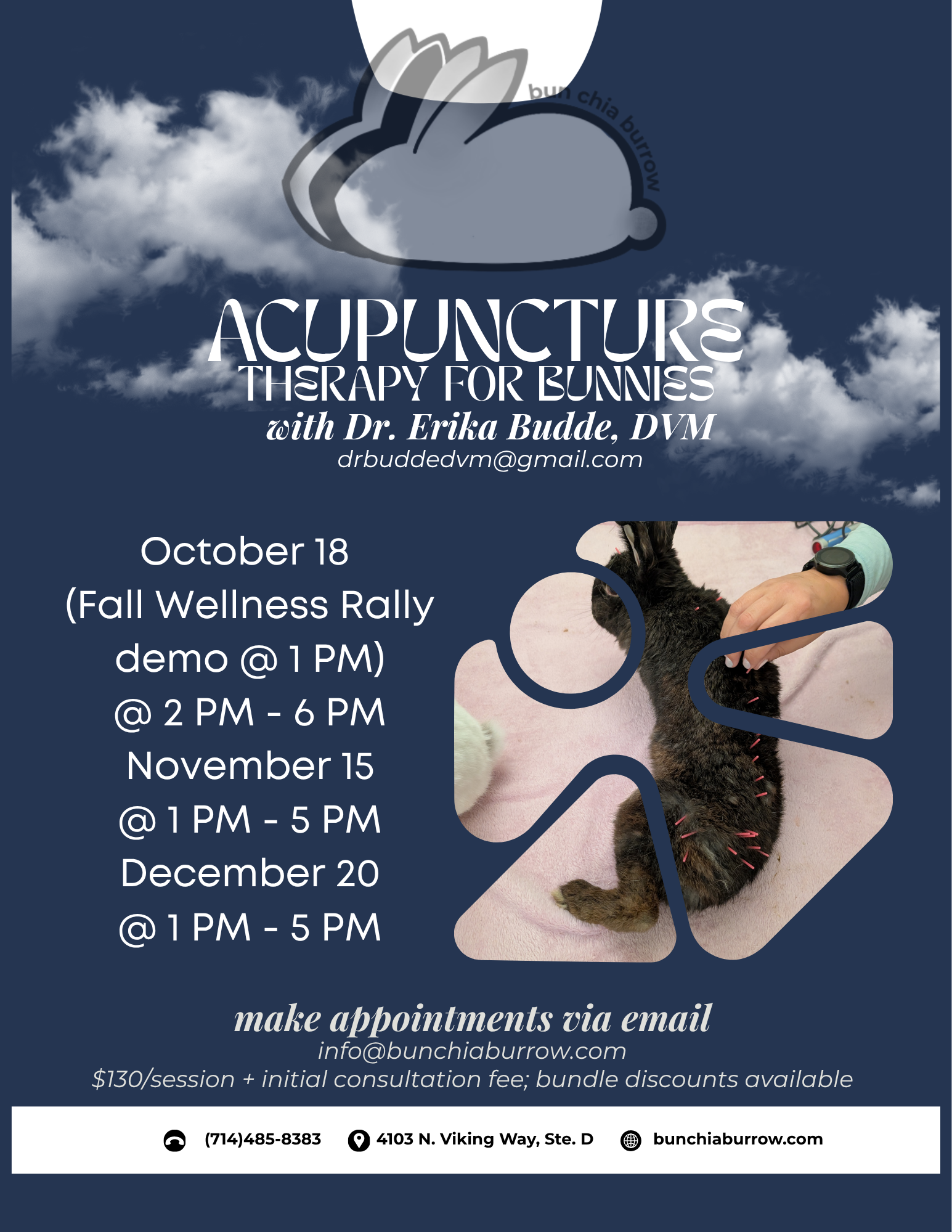 Acupuncture Therapy for Bunnies with Dr. Erika Budde, DVM