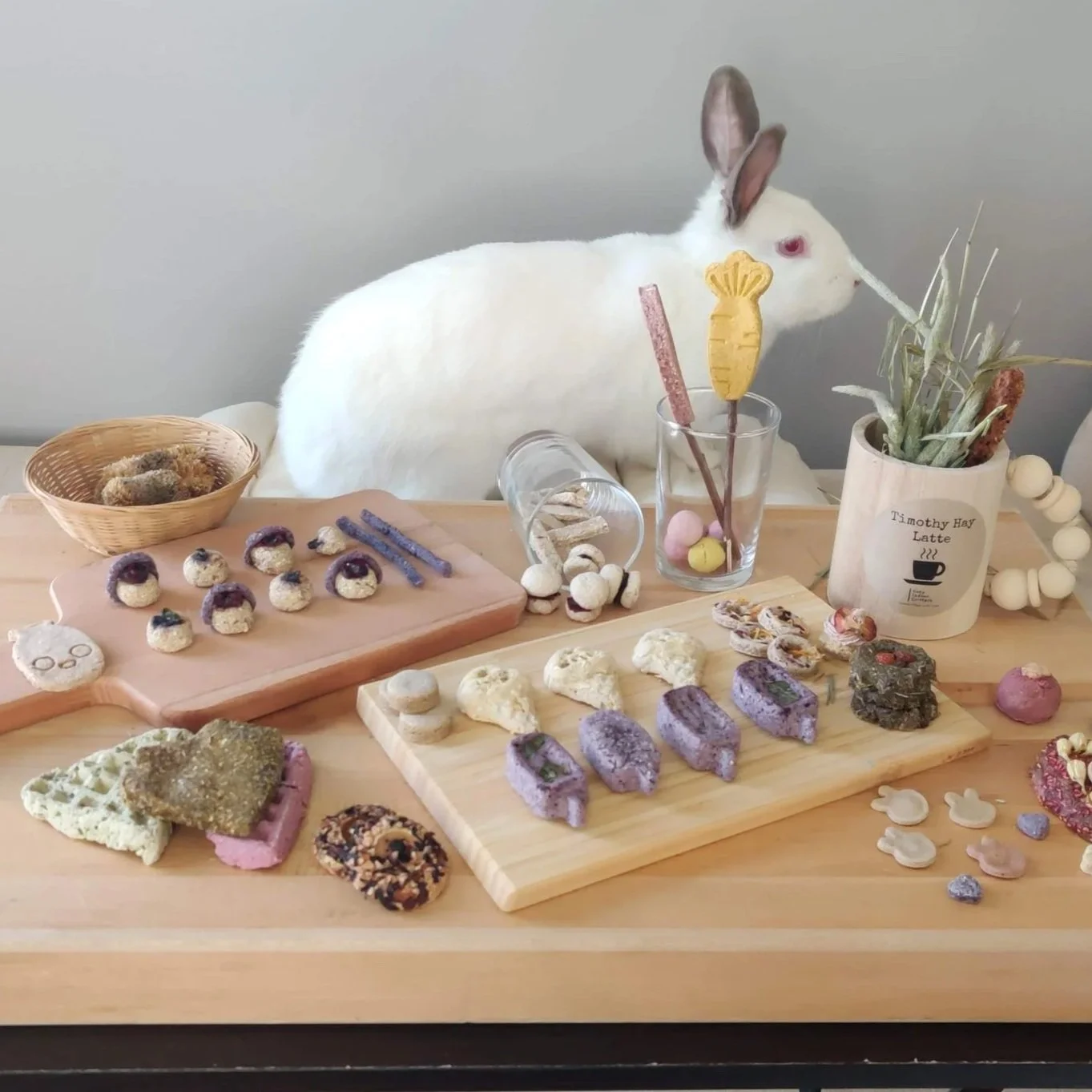 rabbit trends on social media: why we walked away