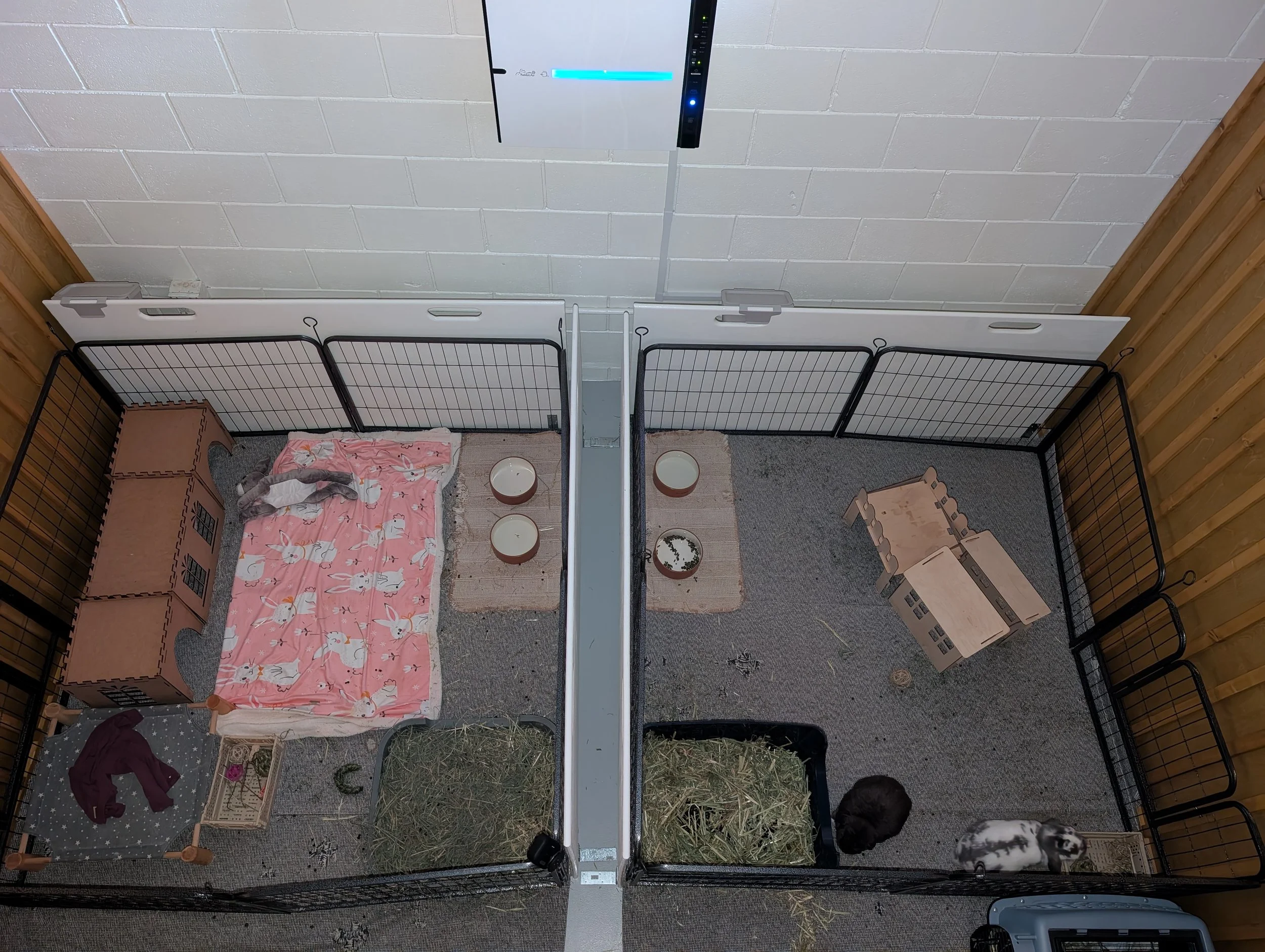 Standard Suite: Different Households 