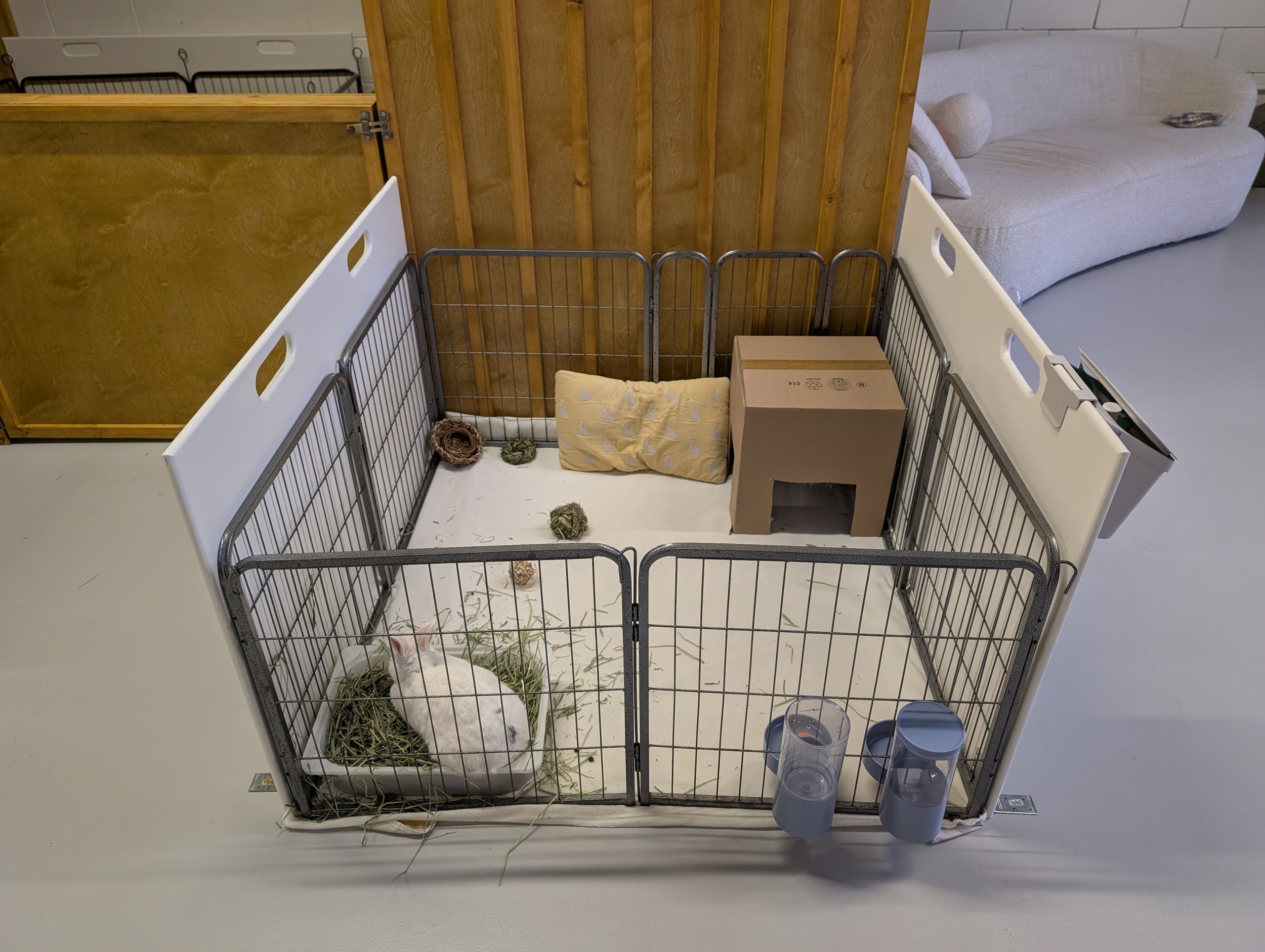 Junior Pod: 5 lbs rabbit (maximum weight)