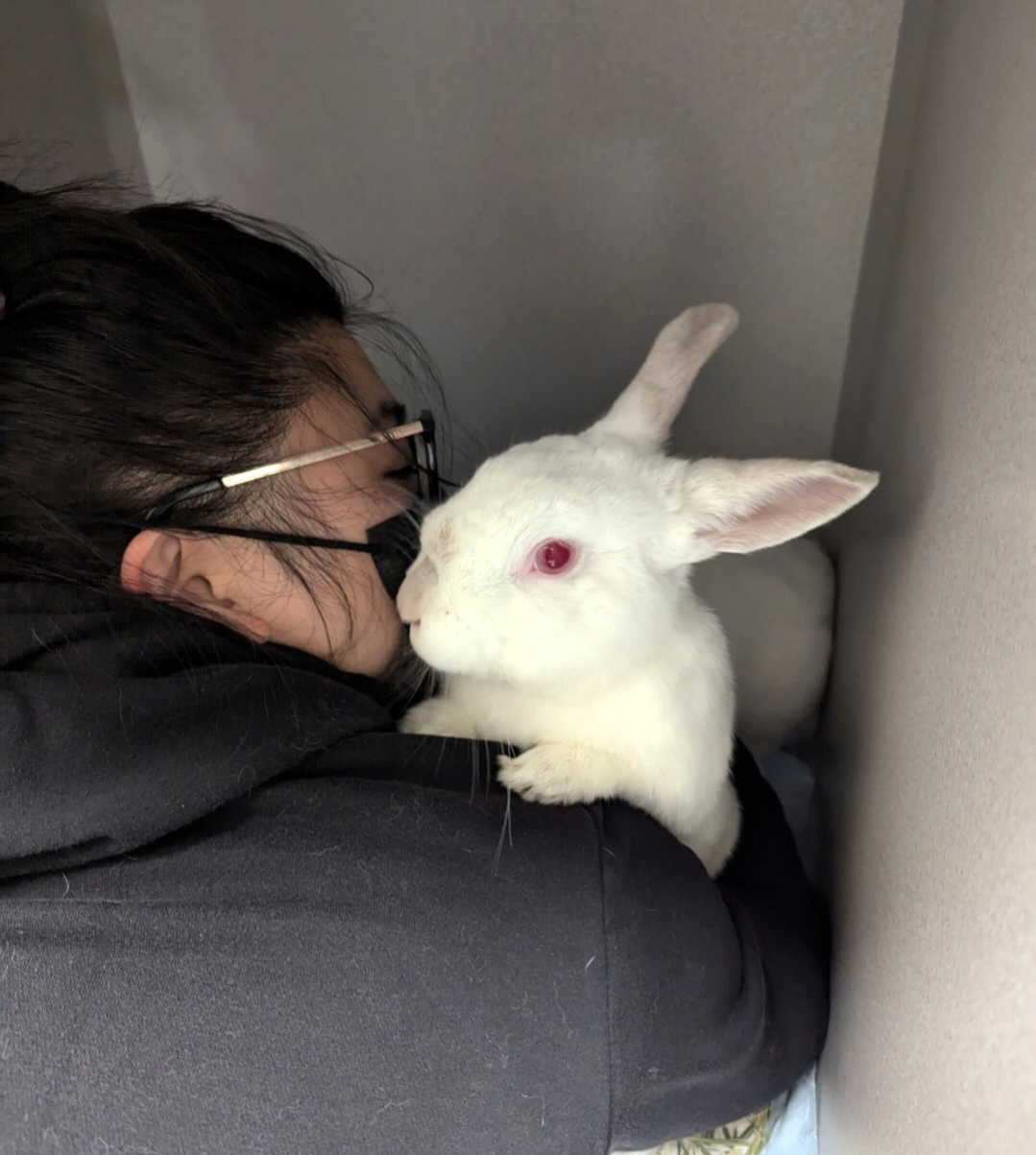 Person with dark hair, glasses, and a black face mask holding a white rabbit with pink eyes close to their face.