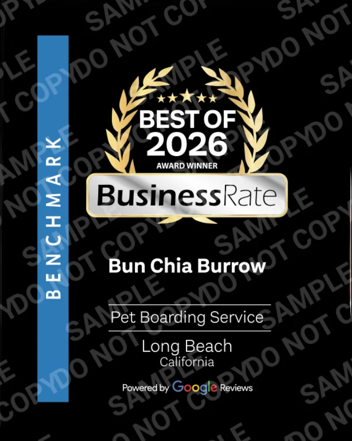 Best of 2026 BusinessRate Pet Boarding Service Long Beach California Bun Chia Burrow powered by Google Reviews
