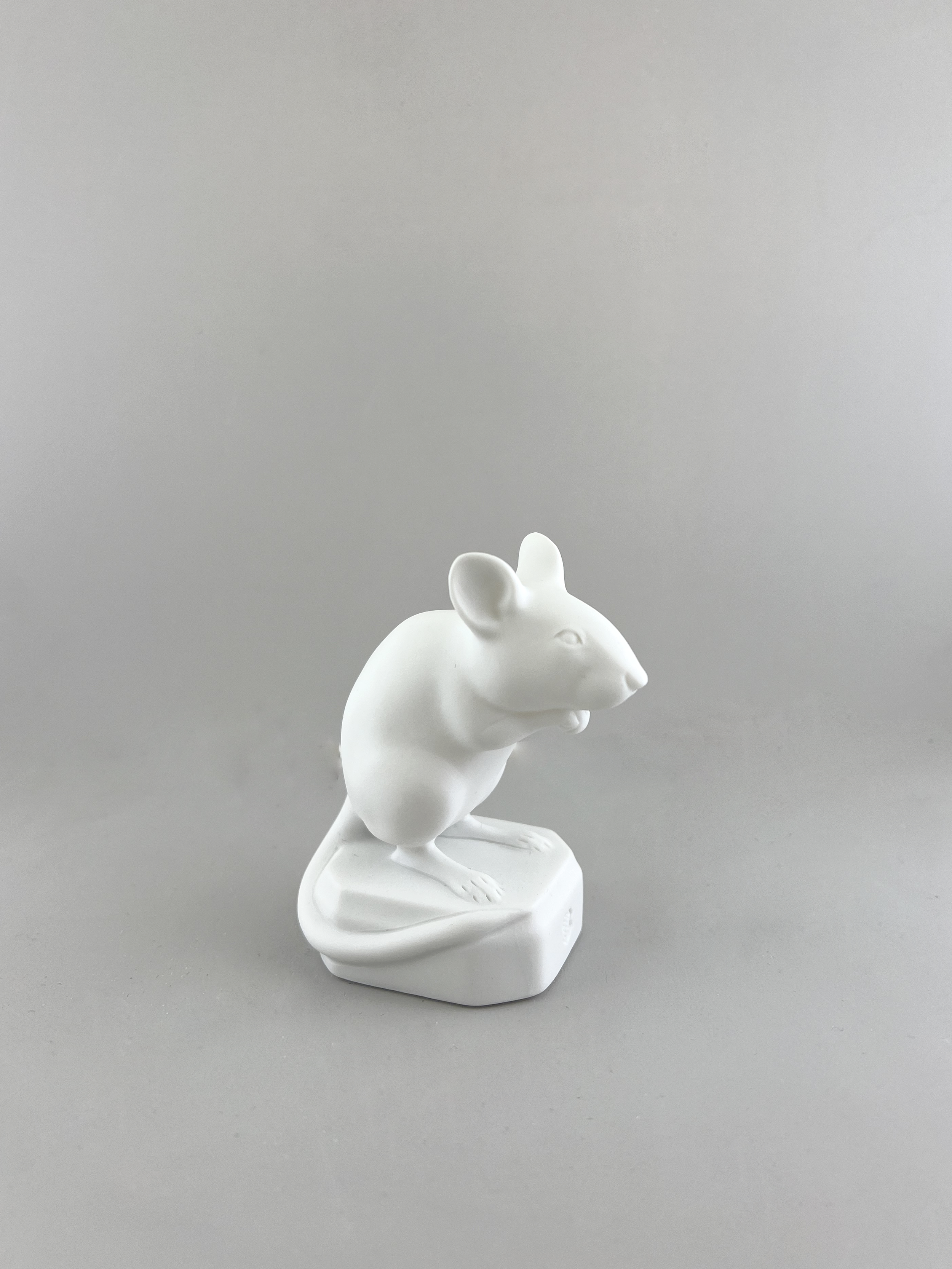 mouse 1.png