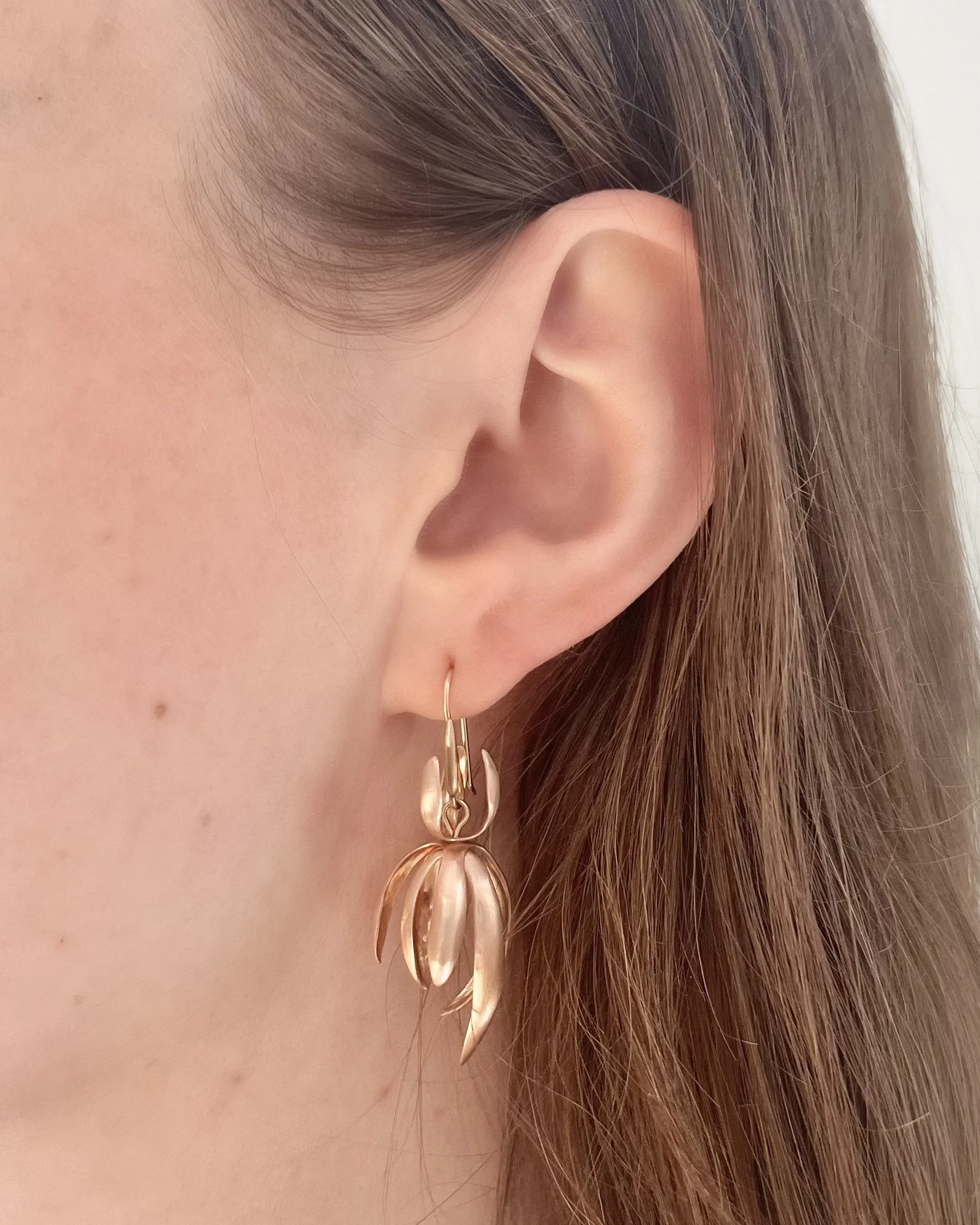 RG Chrysanthemum.jpg