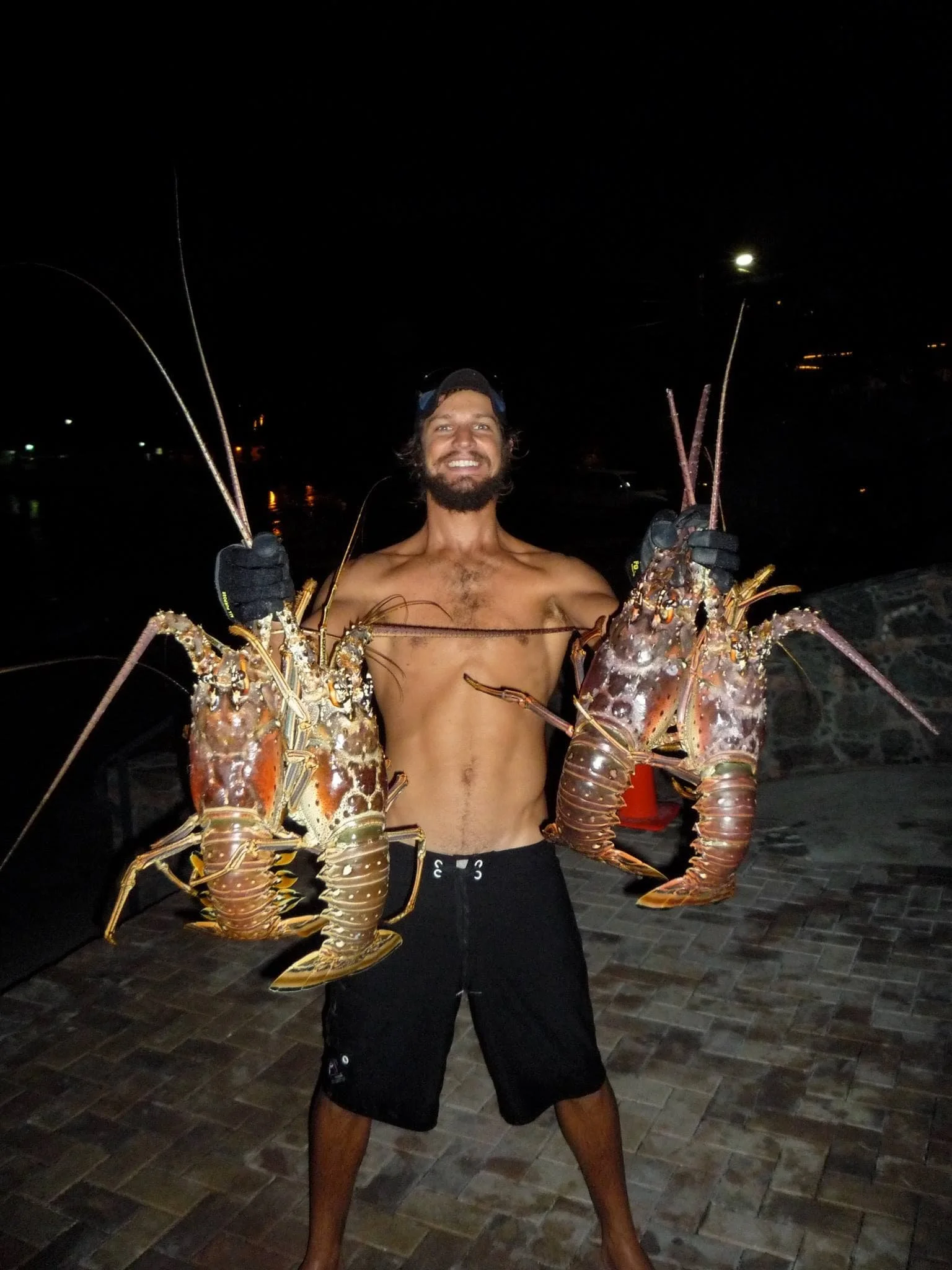 Barracudas, Moray Eels &amp; Lobsters — Marine Predators Of The Virgin Islands