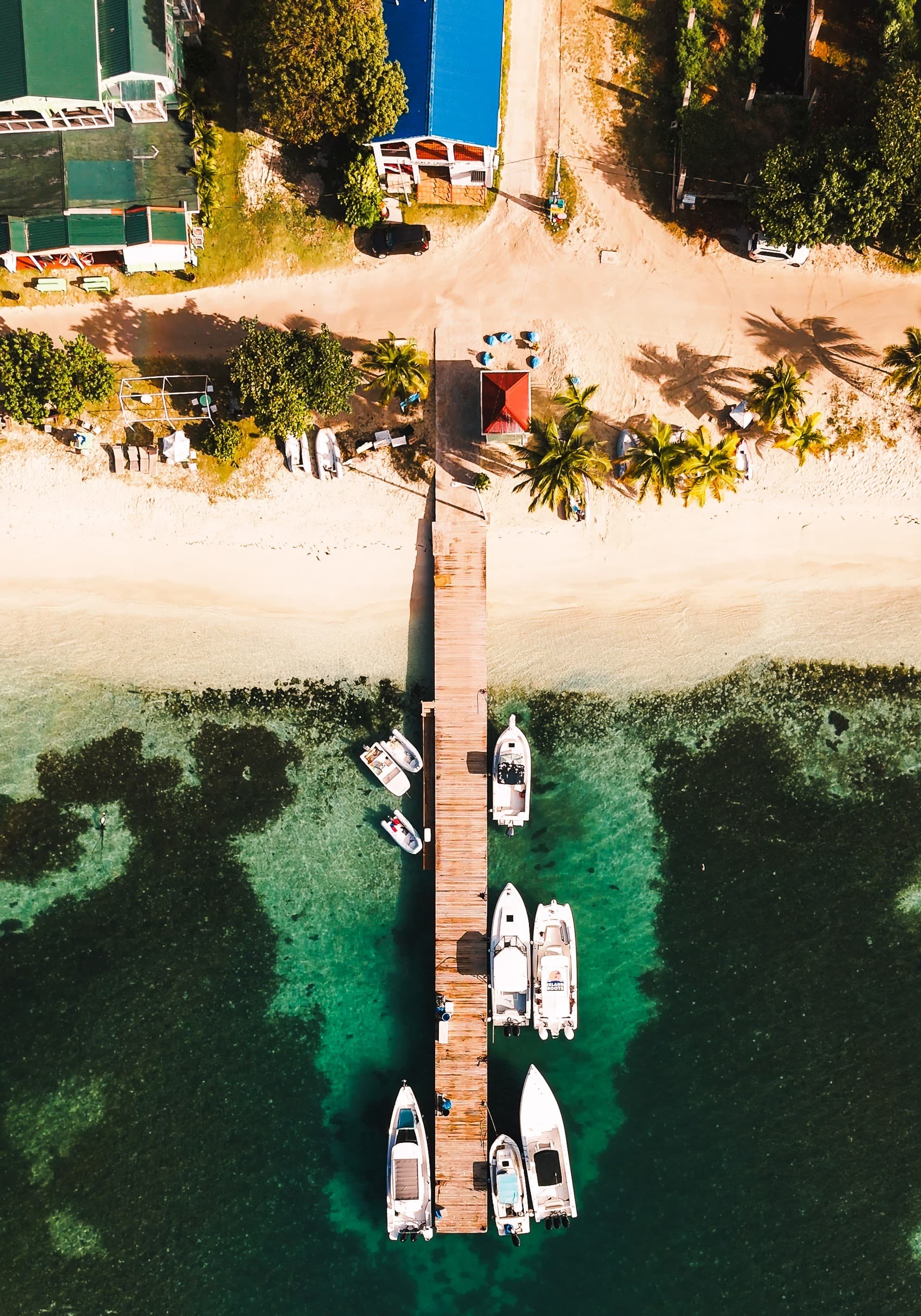 Photo: The public dock at Great Harbor. You can see the "main" sand road just behind the palm trees. Image credit: Island Roots Charters