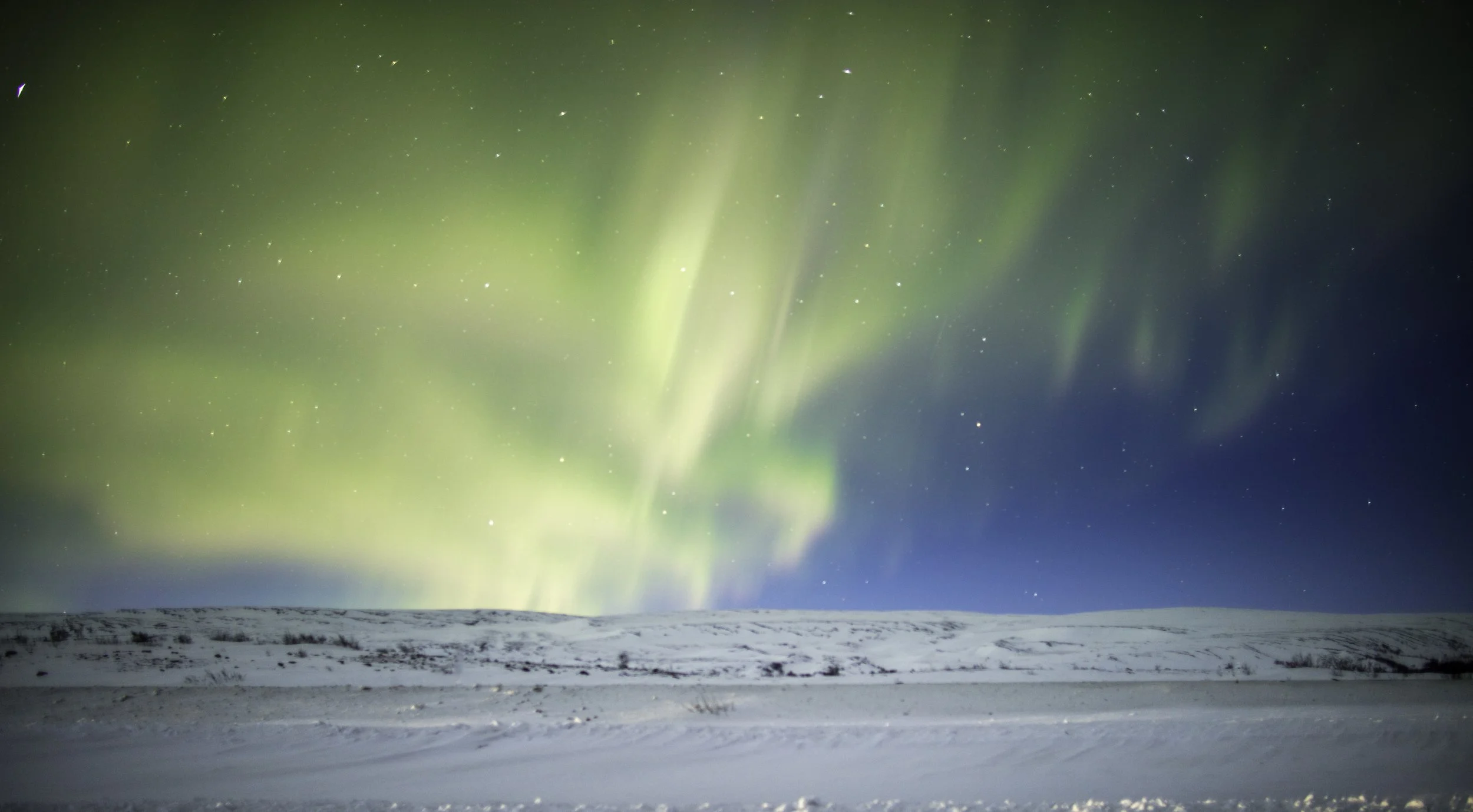 Aurora Borealis, Stabbursdalun National Park, Norway