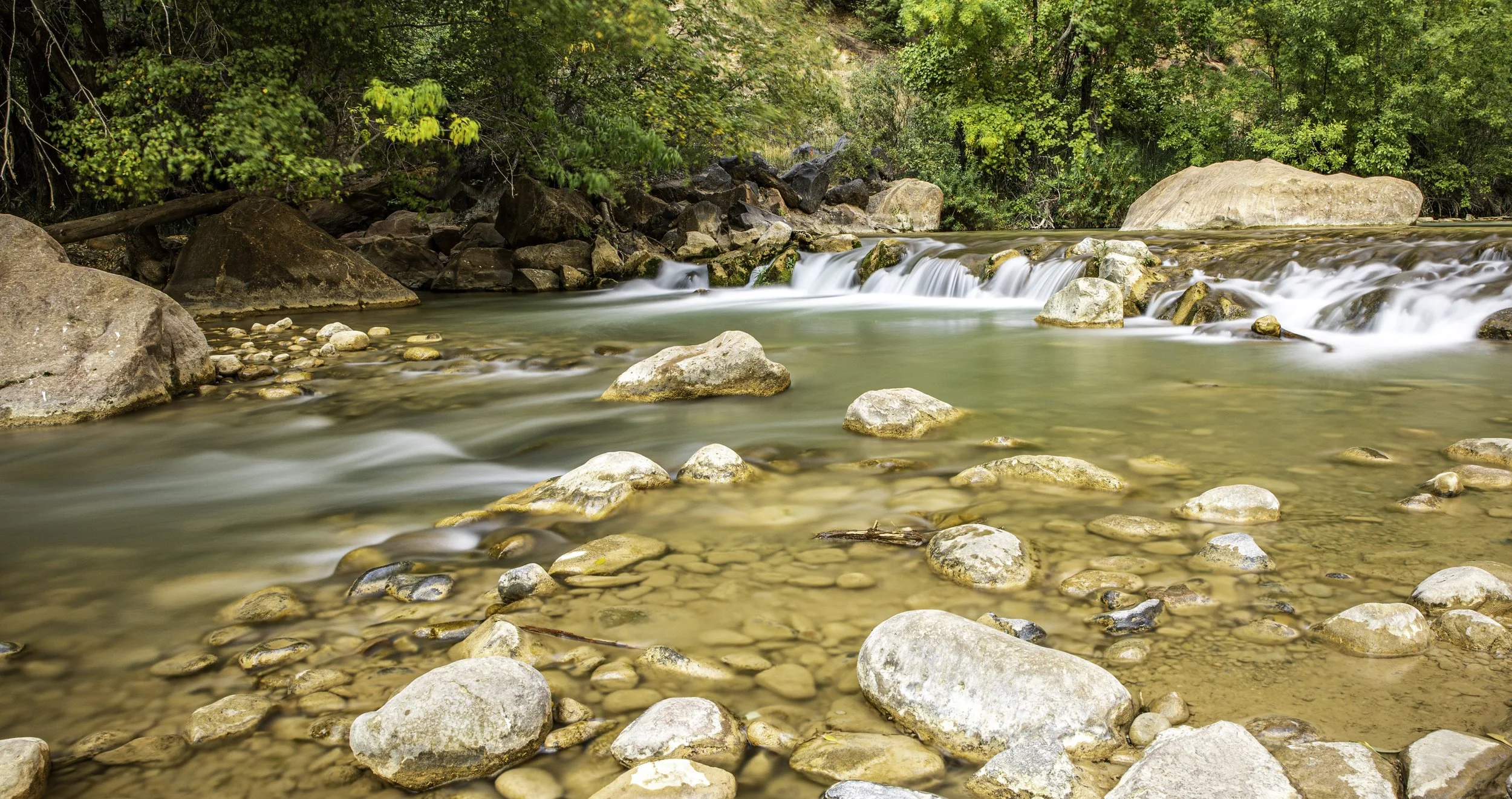 The Virgin, Zion National Park