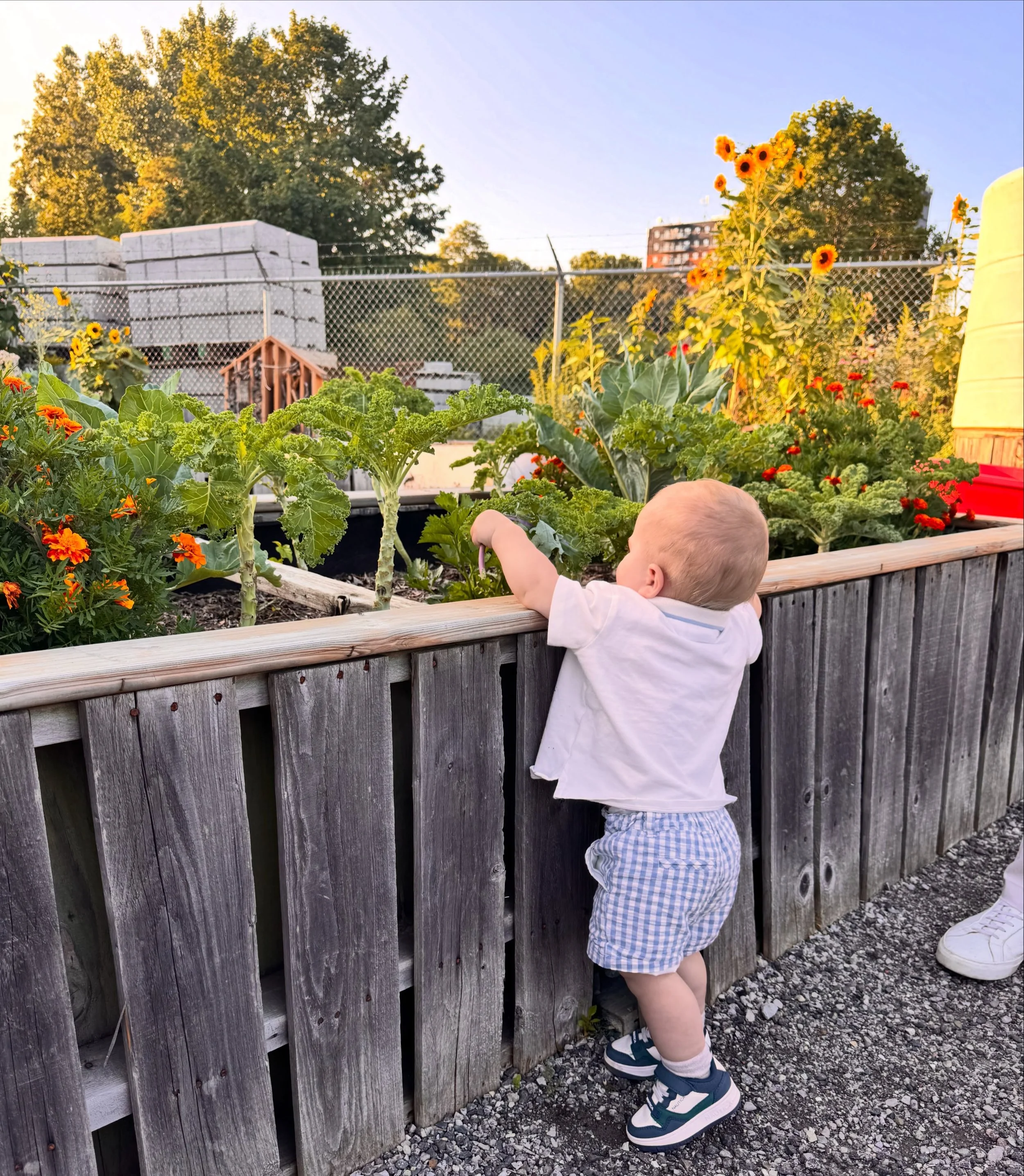 Perpetually in awe of our community and all they bring 💫

This space wouldn&rsquo;t be the same without the people who nurture it. Feeling extra grateful for every helping hand, big or small, and so lucky we get to do what we do together 🌱💛