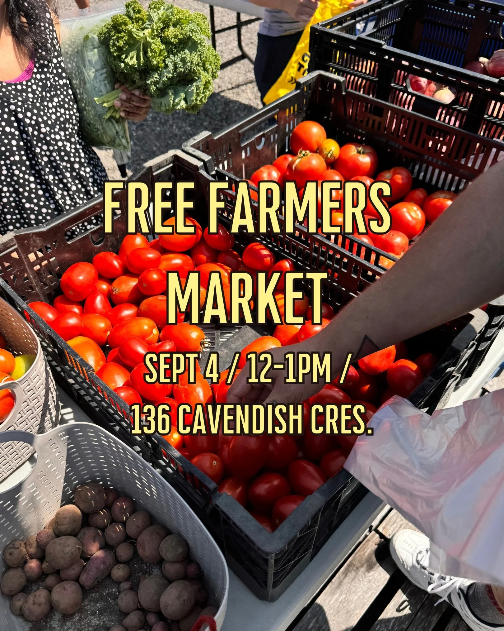 🥕🌽 FREE MARKET TOMORROW! 🍅🌻

Stop by the Cavendish Community Food Hub from 12-1pm to pick up some fresh veggies grown at our farm and by our friends at @urbanrootslondon 💚

Only one market after this! Come stock up while the growing season is st
