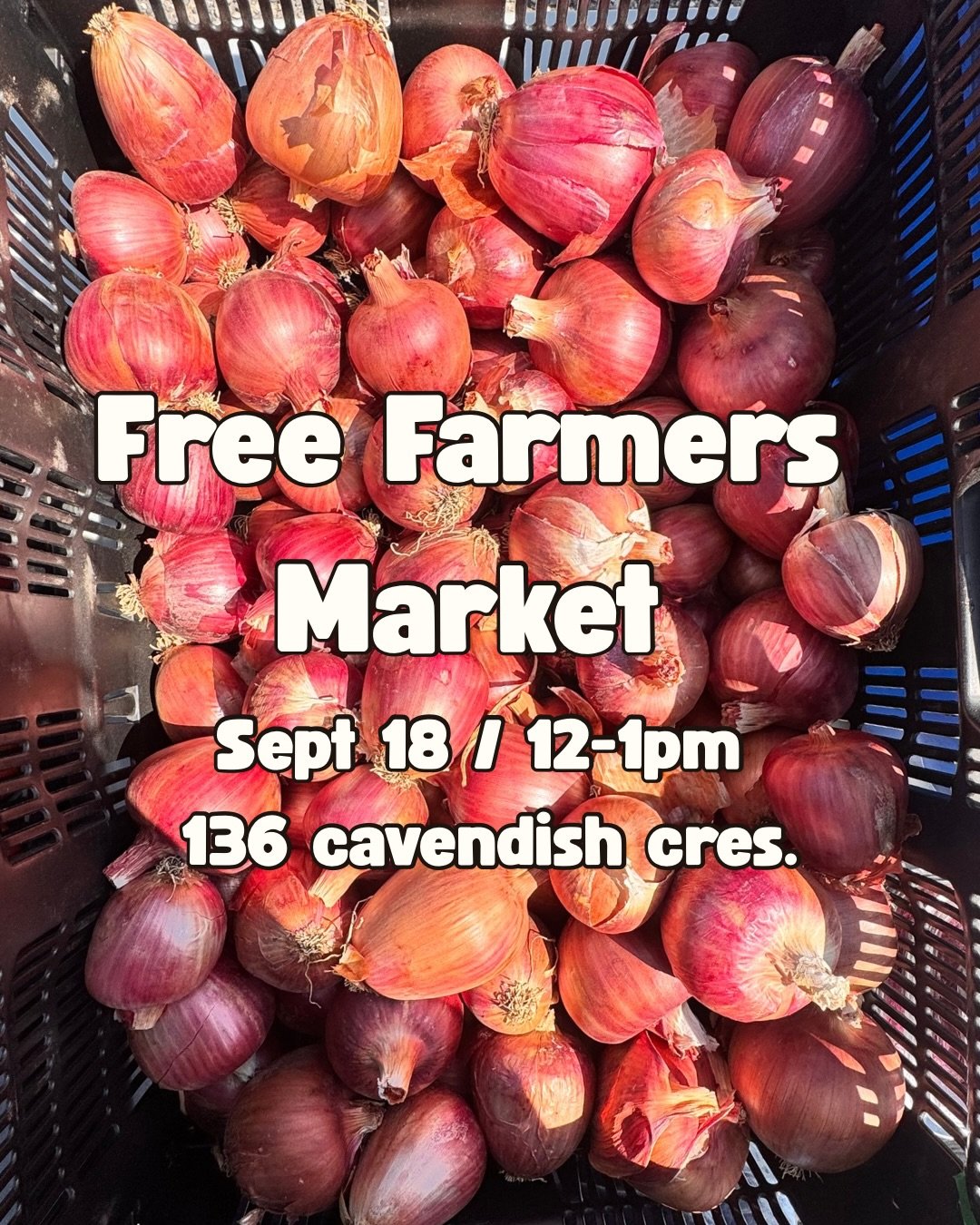 Our FREE farmers market is coming up this Friday at 12-1pm ! 

Take a tour of our urban farm &amp; 
Bring your own bag to fill with produce (we also have some provided)!! 🥔🍅🥕🥬