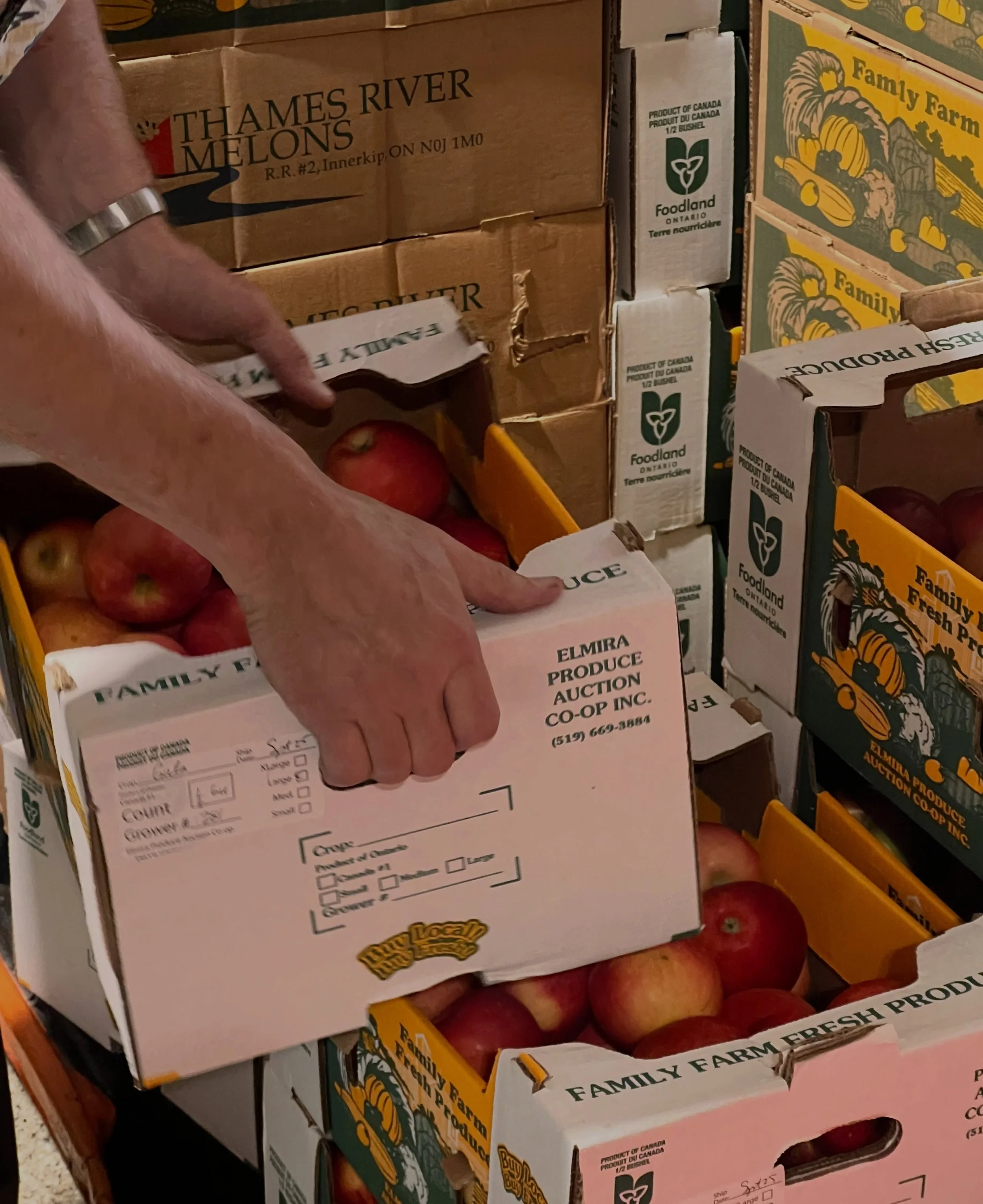 Our team spent the morning packing produce for the Good Food Box program at @glencairncentre !!🌱🥕

Total 473 bags filled. 🫡

We sorted through endless carrots, beets, apples, pears, onion, potatoes, celery, sweet potato, oranges, butternut squash,
