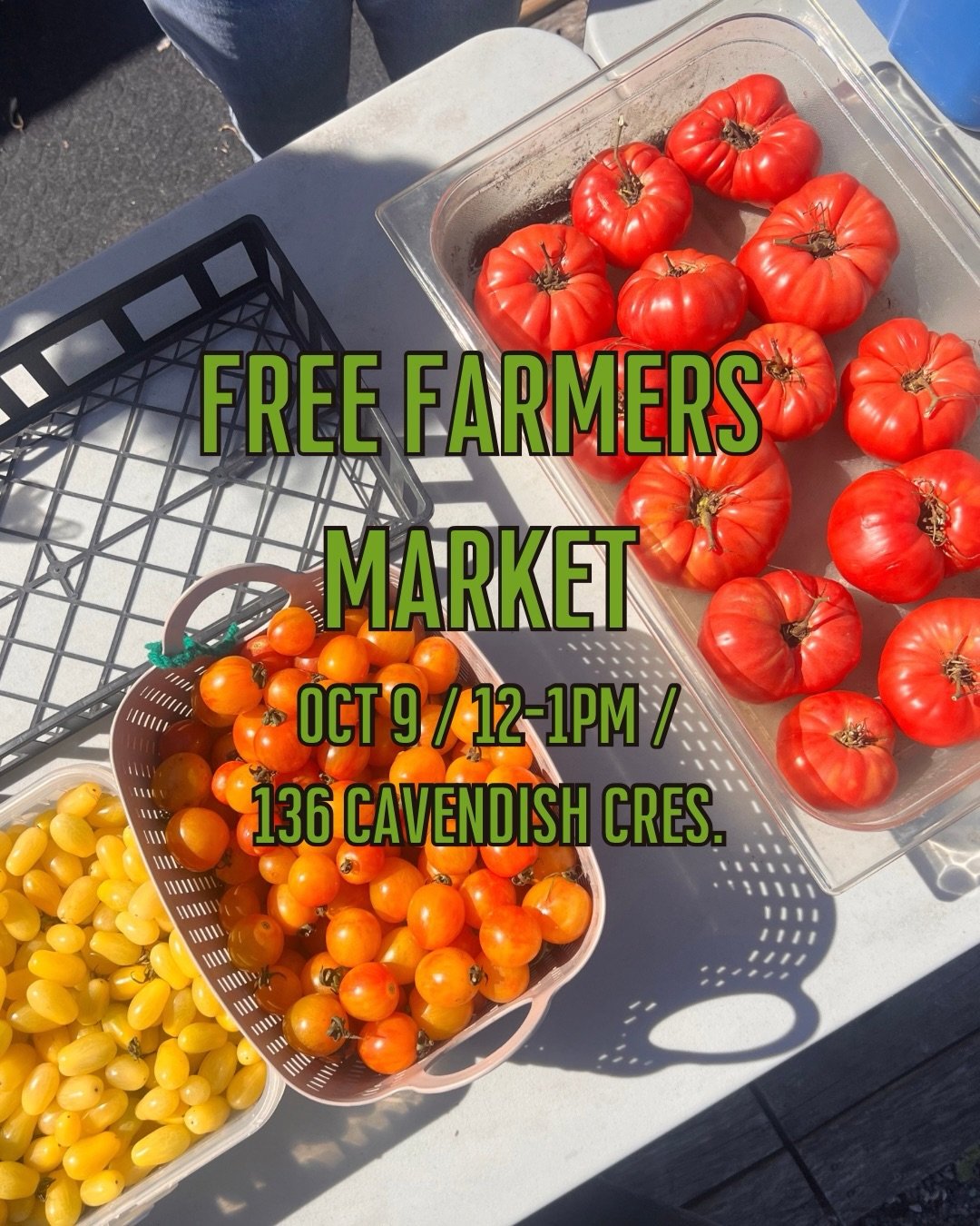 FREE FARMERS MARKET!
Come on out today for our last Free produce market at 136 Cavendish Cres !! 
Bring your own bag !!

See you there!!
#urbanagriculture #foodsecurity #foodsystem #nonprofit #londonontario