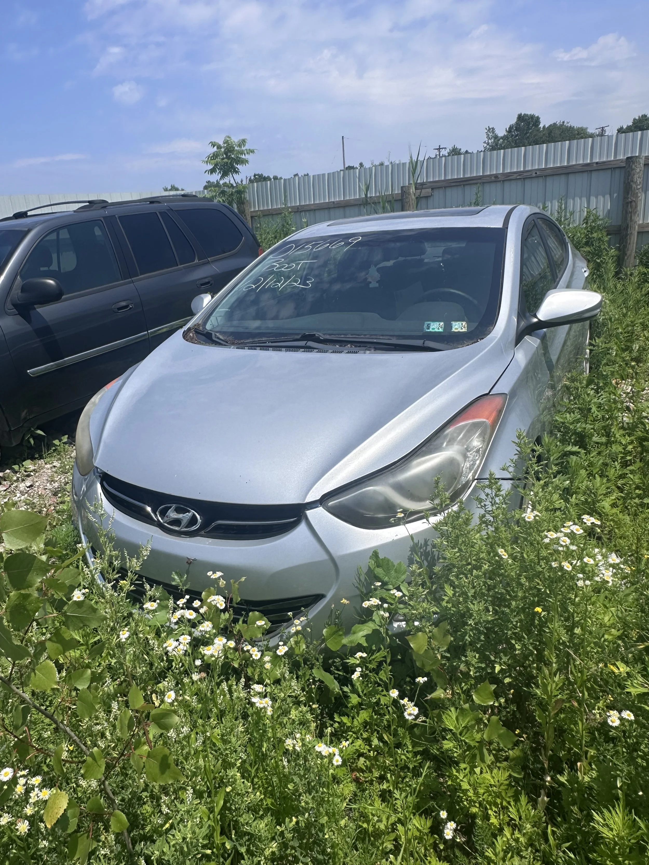 2010 Hunyadi Elantra