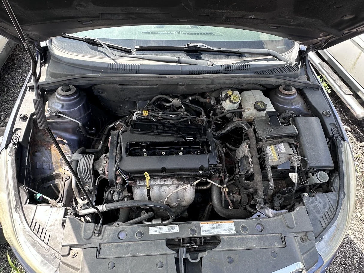 IMG_6285.jpg