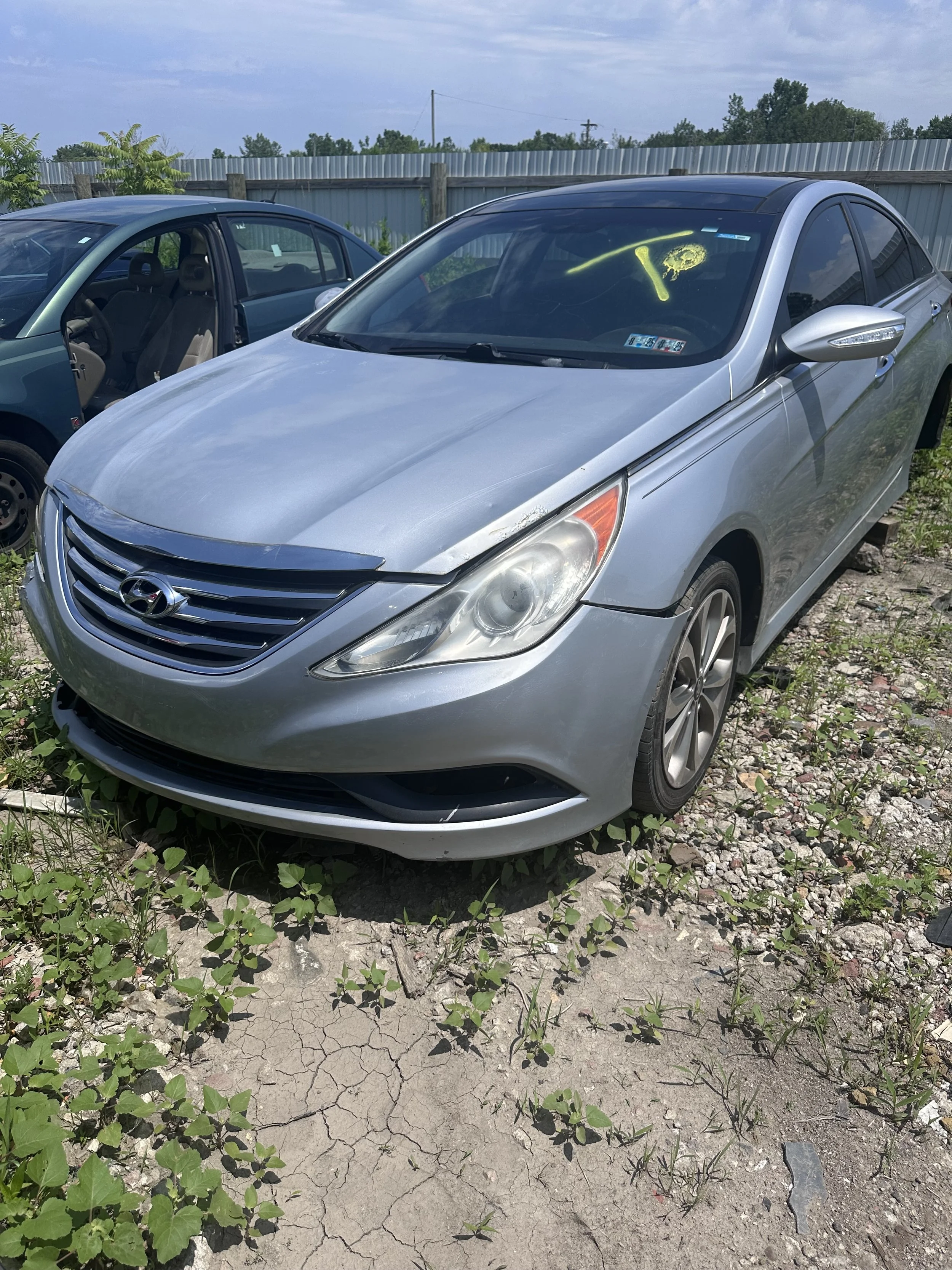 2014 Hunyadi Sonata