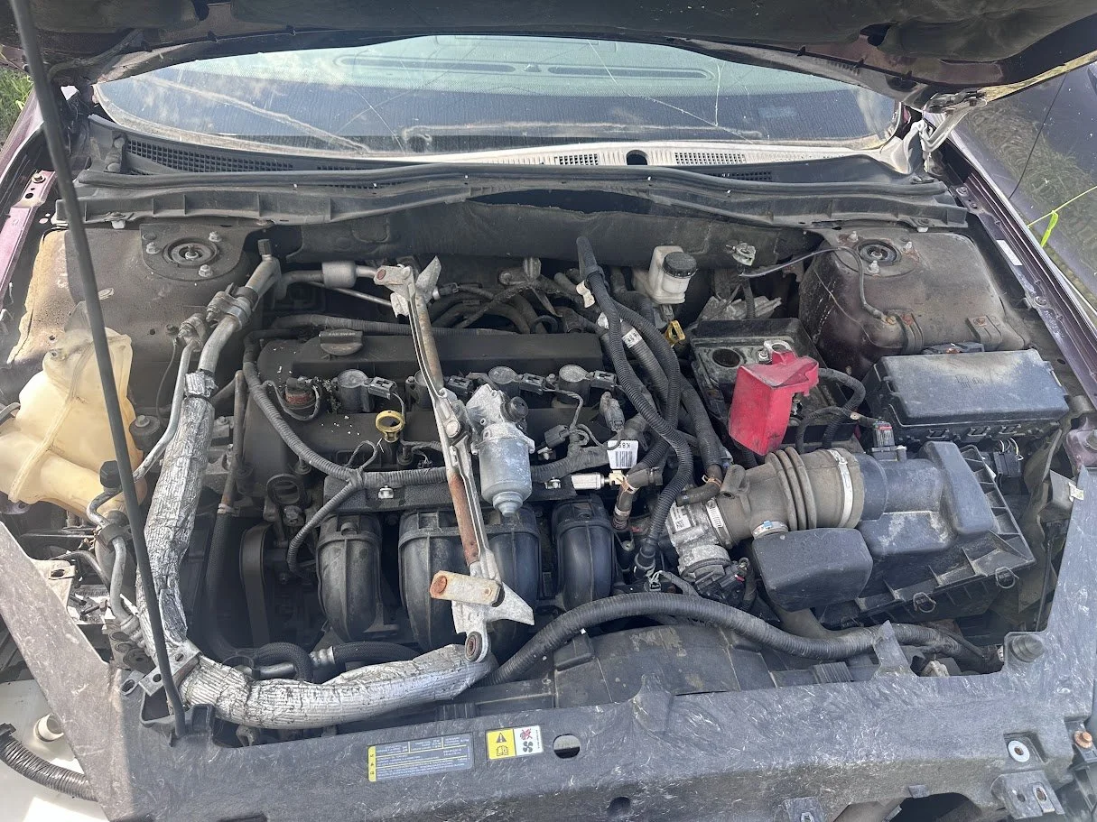 IMG_7315.jpg