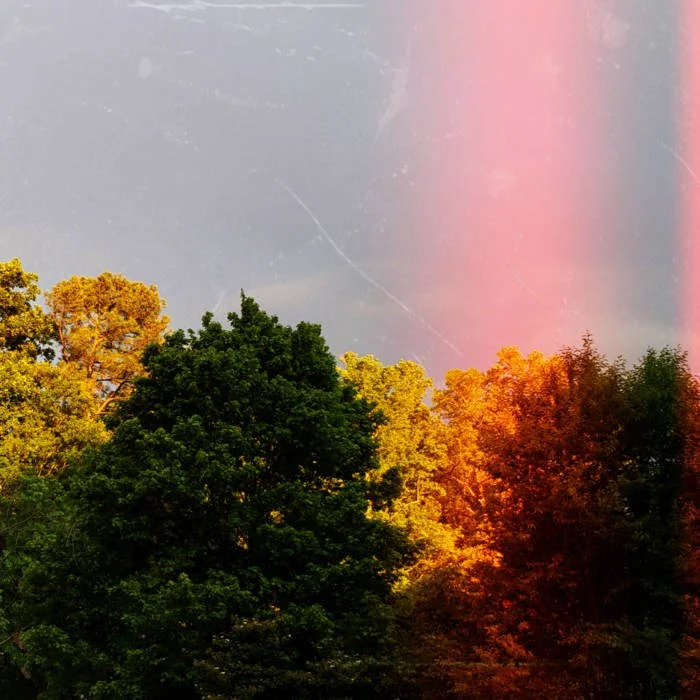 Place I want To be.jpg