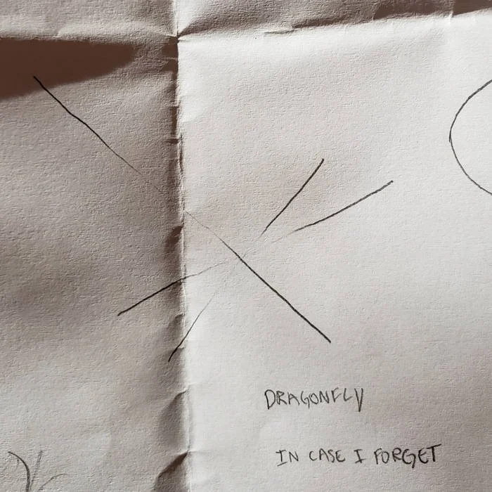 Dragonfly, in Case I forget.jpg