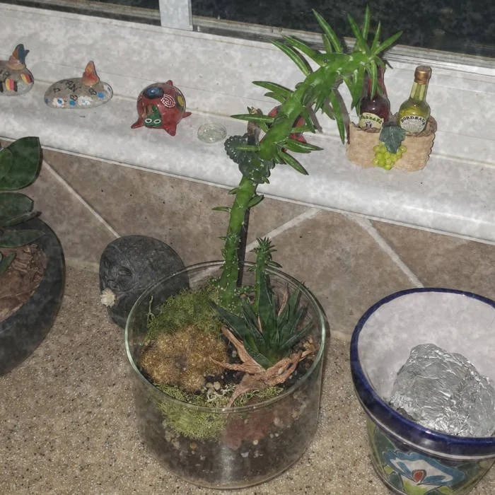 quarantine diaries.jpg