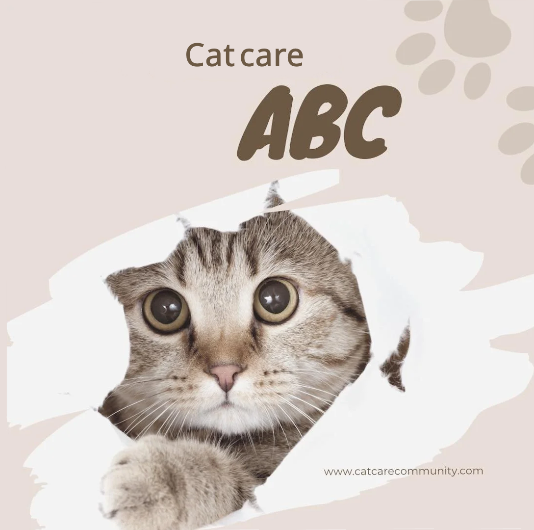 Cat Care ABC