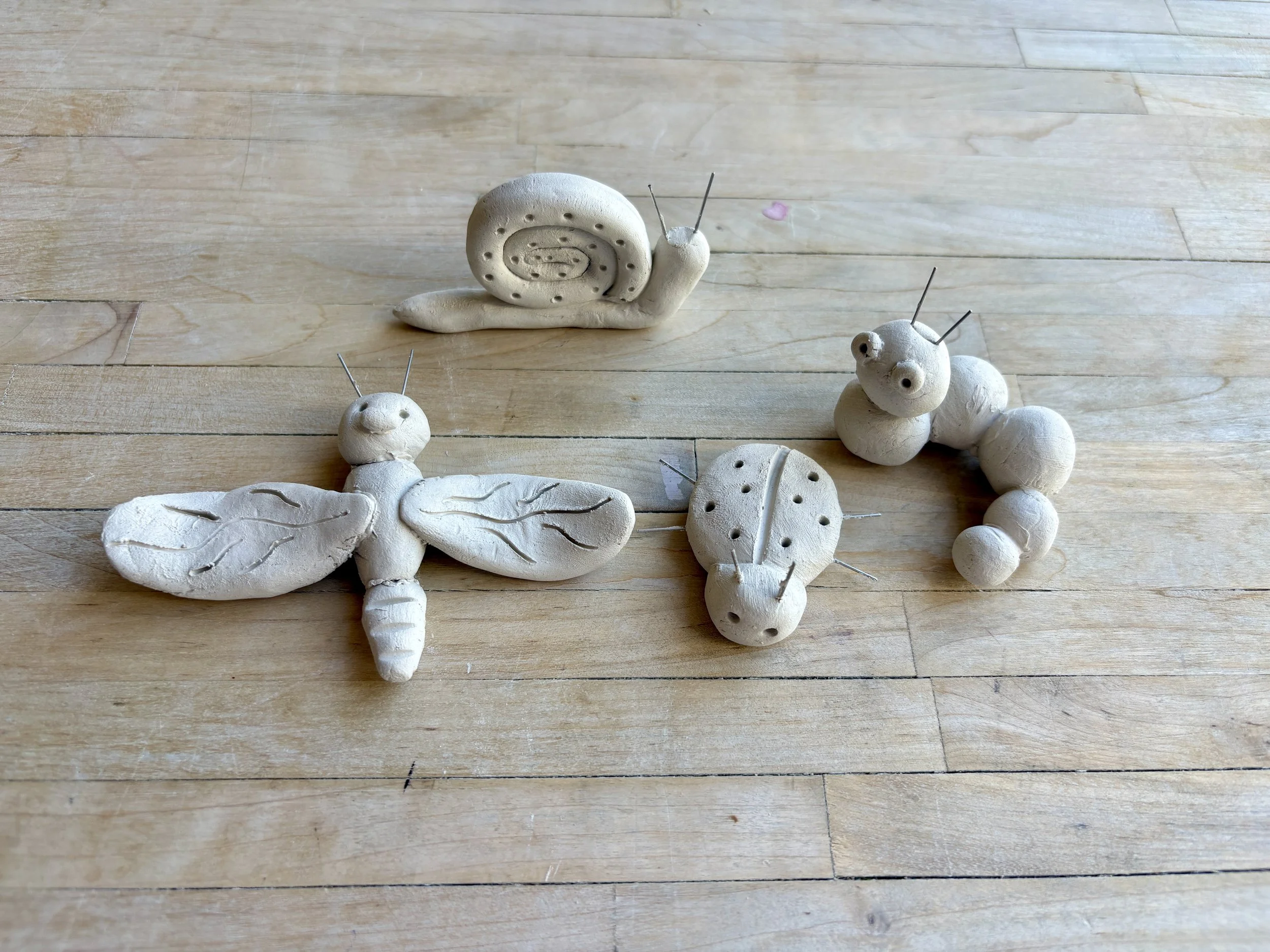 kc clay insects (1).jpg
