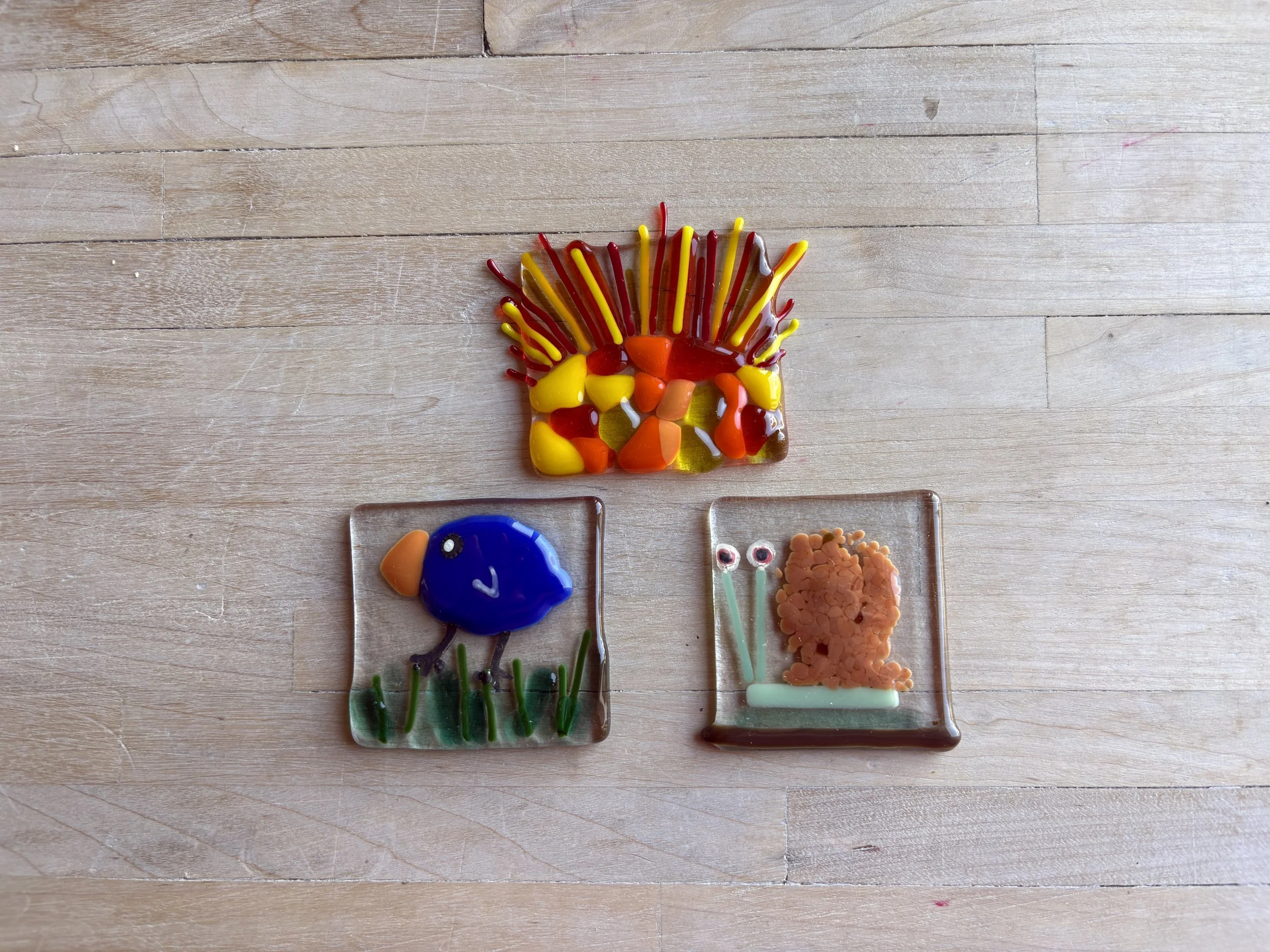 Magnet Mania Glass Class