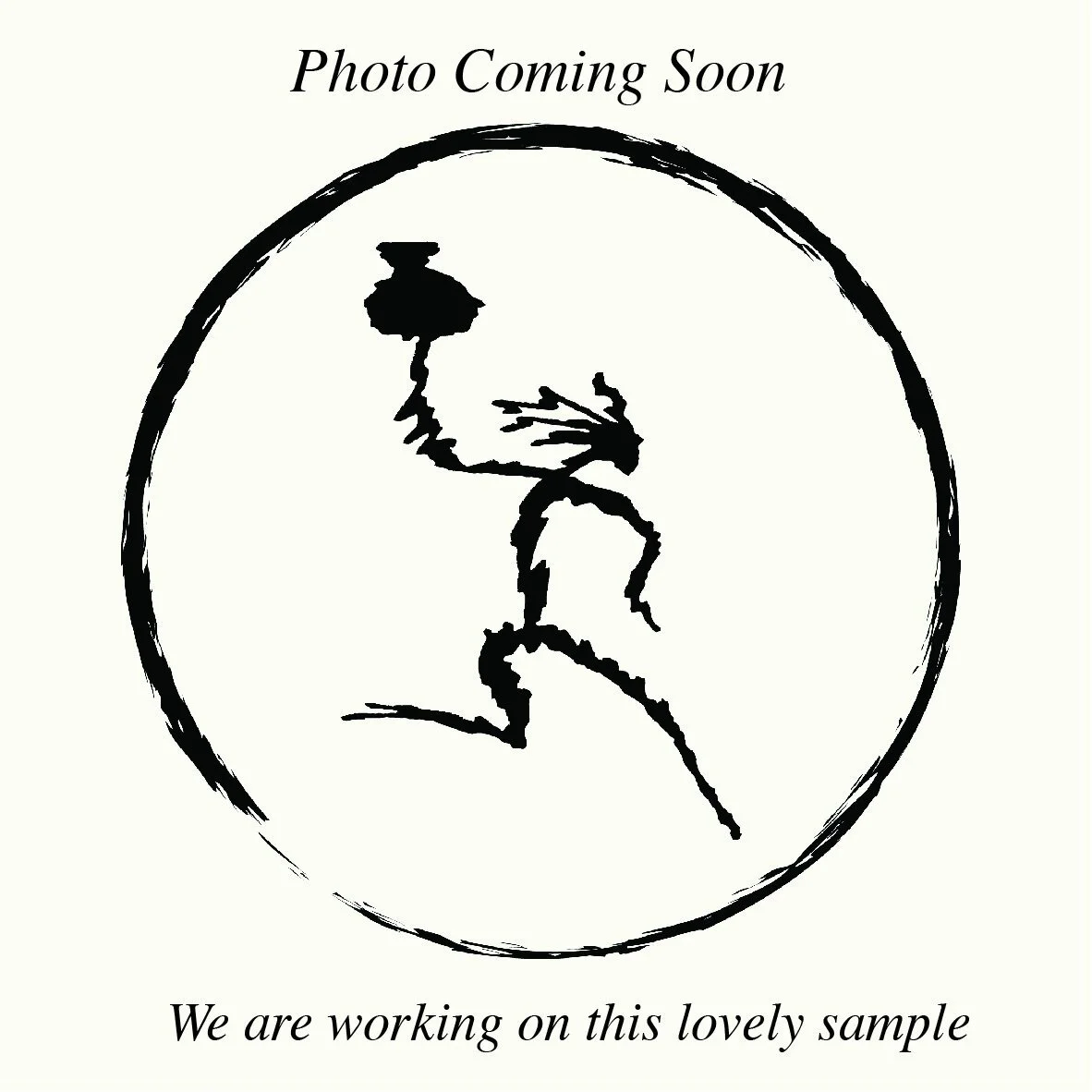 photo+coming+soon.jpg