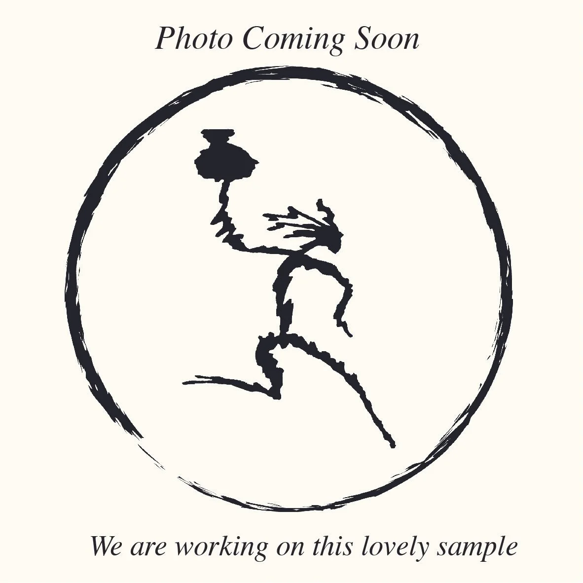 photo+coming+soon.jpg (Copy) (Copy)