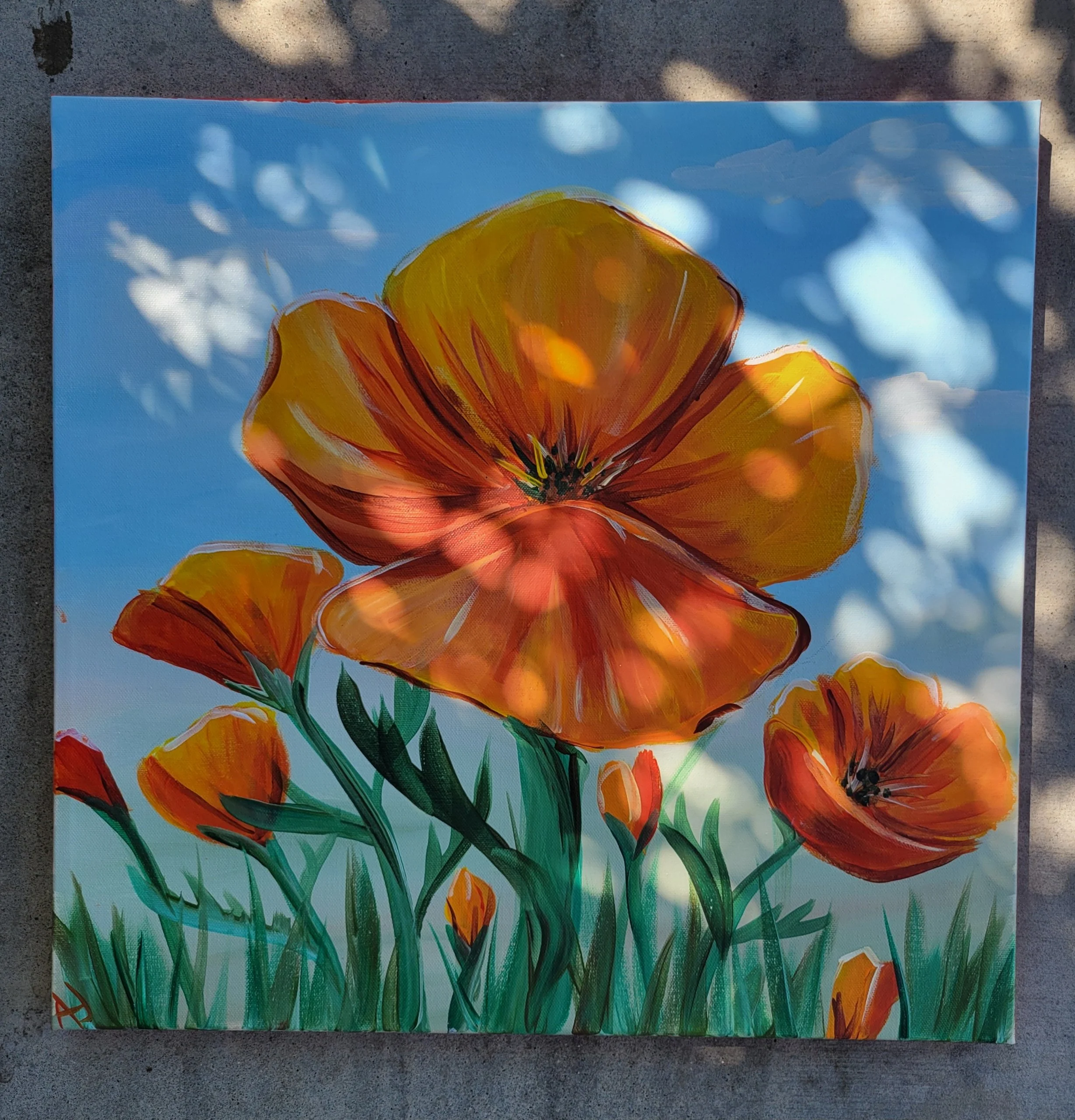 California Poppies Canvas Class